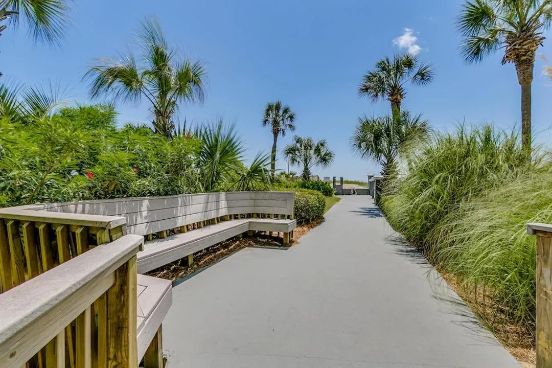 Carolina Dunes 106