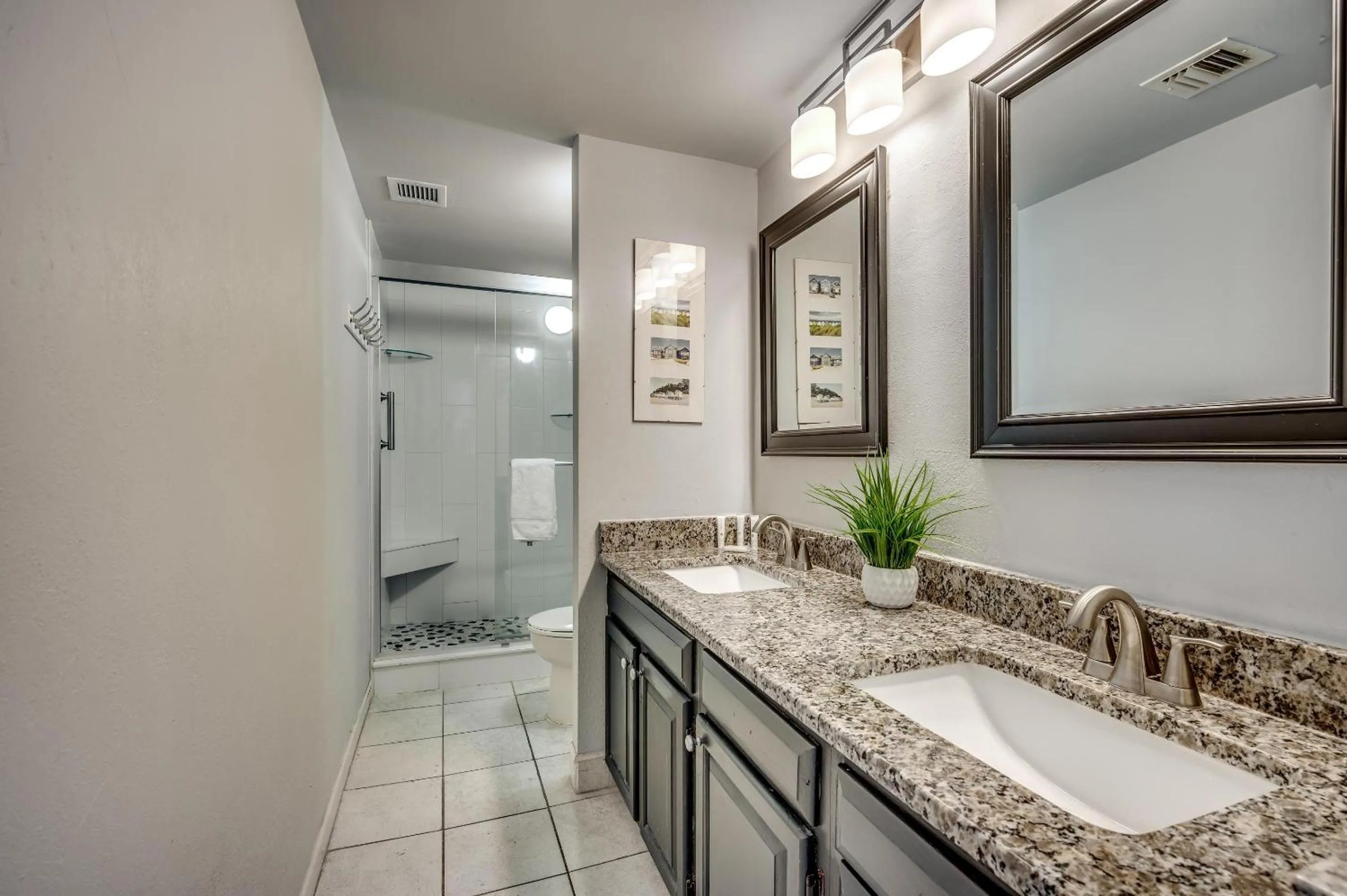 Carolina Dunes - 506