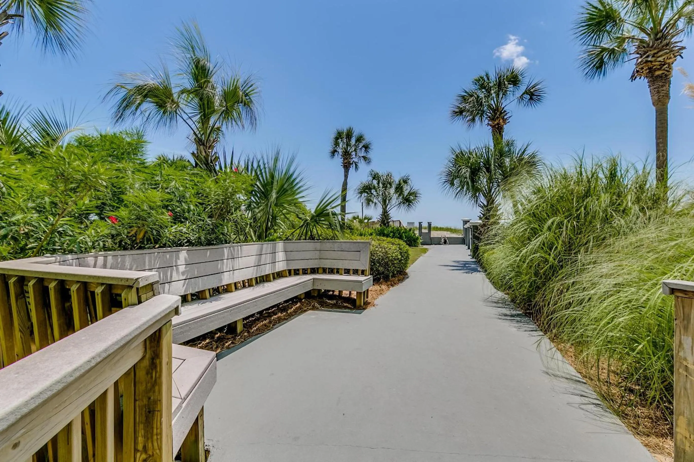 Carolina Dunes 302