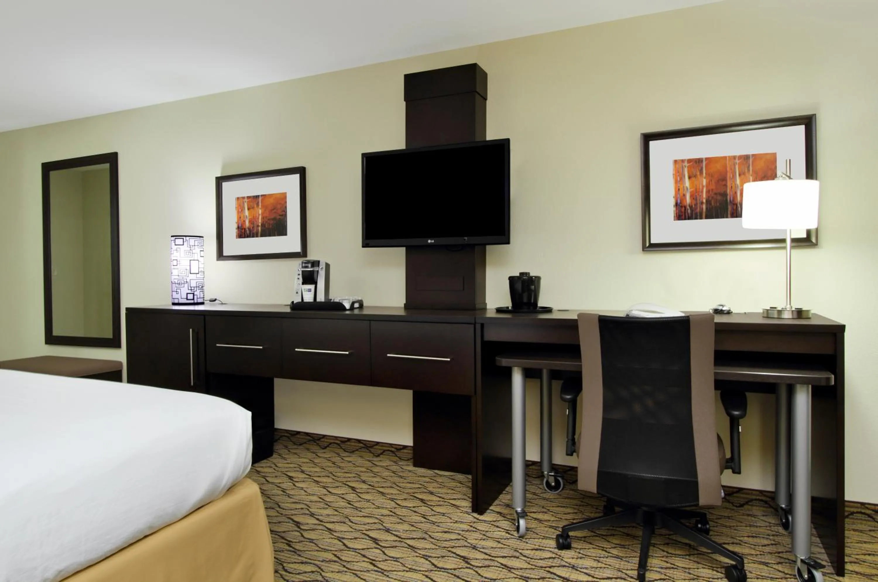 TV and multimedia, Bed in Holiday Inn Express - Colorado Springs - First & Main by IHG