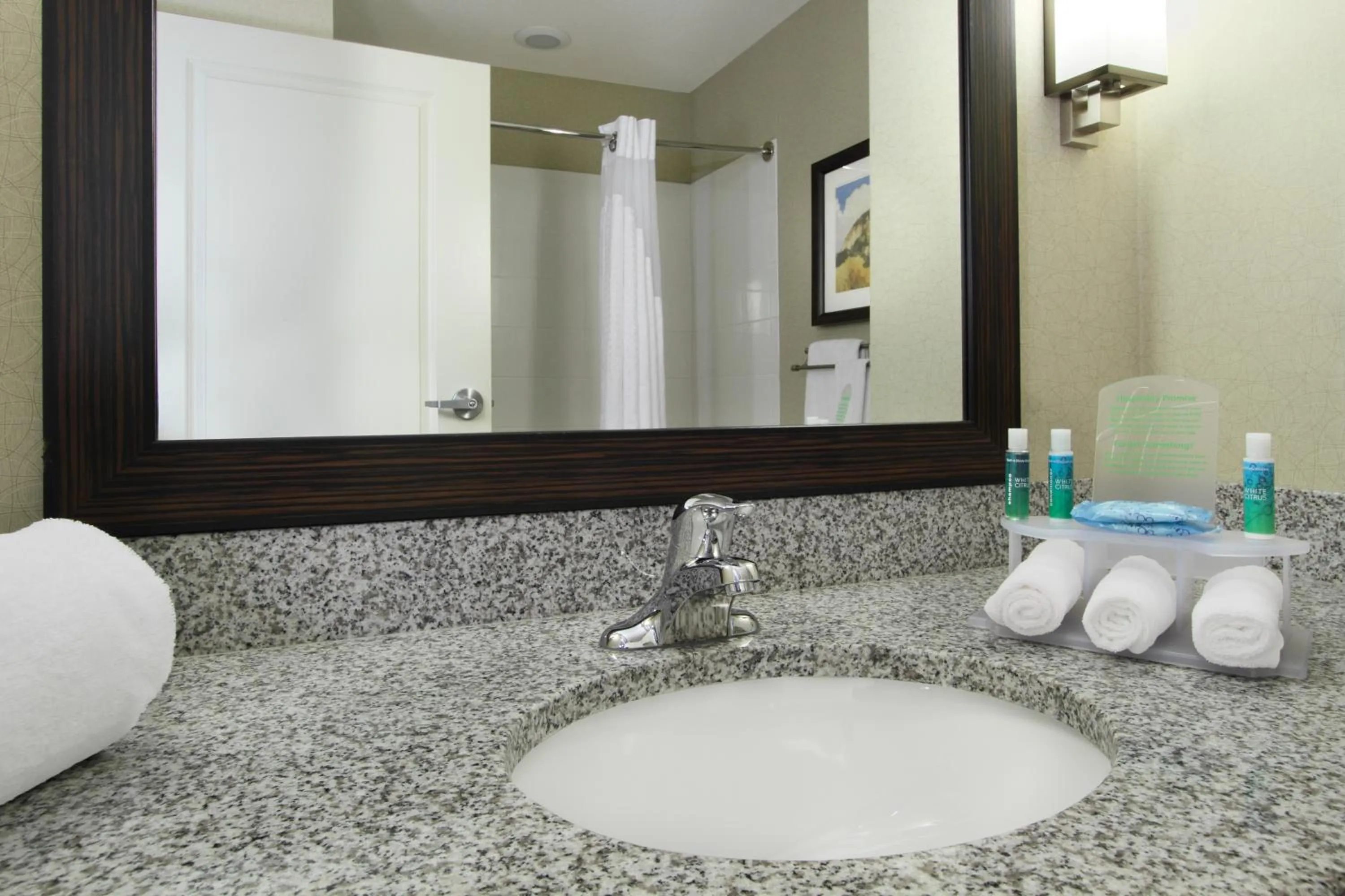 Bathroom in Holiday Inn Express - Colorado Springs - First & Main by IHG