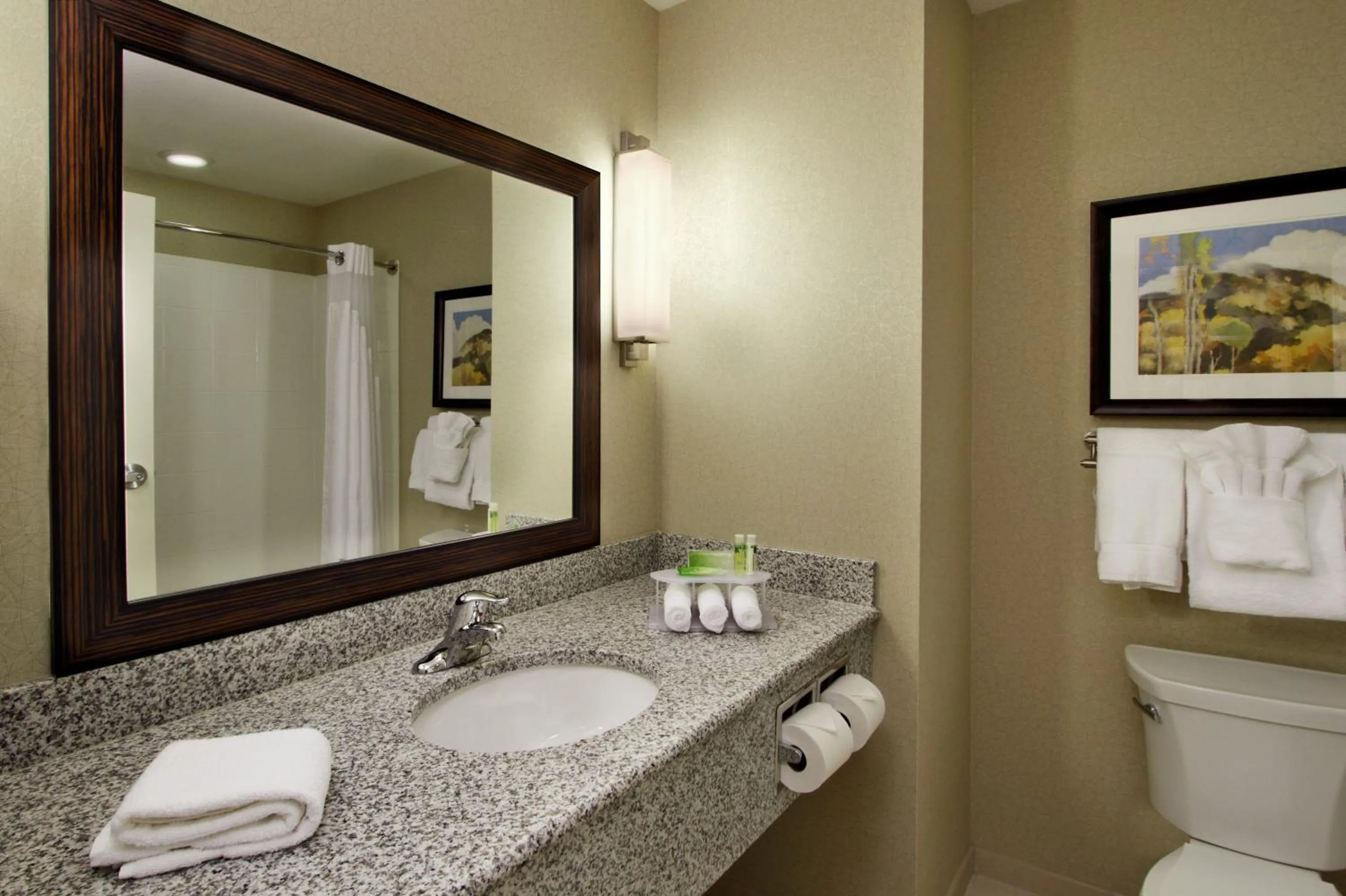 Bathroom in Holiday Inn Express - Colorado Springs - First & Main by IHG