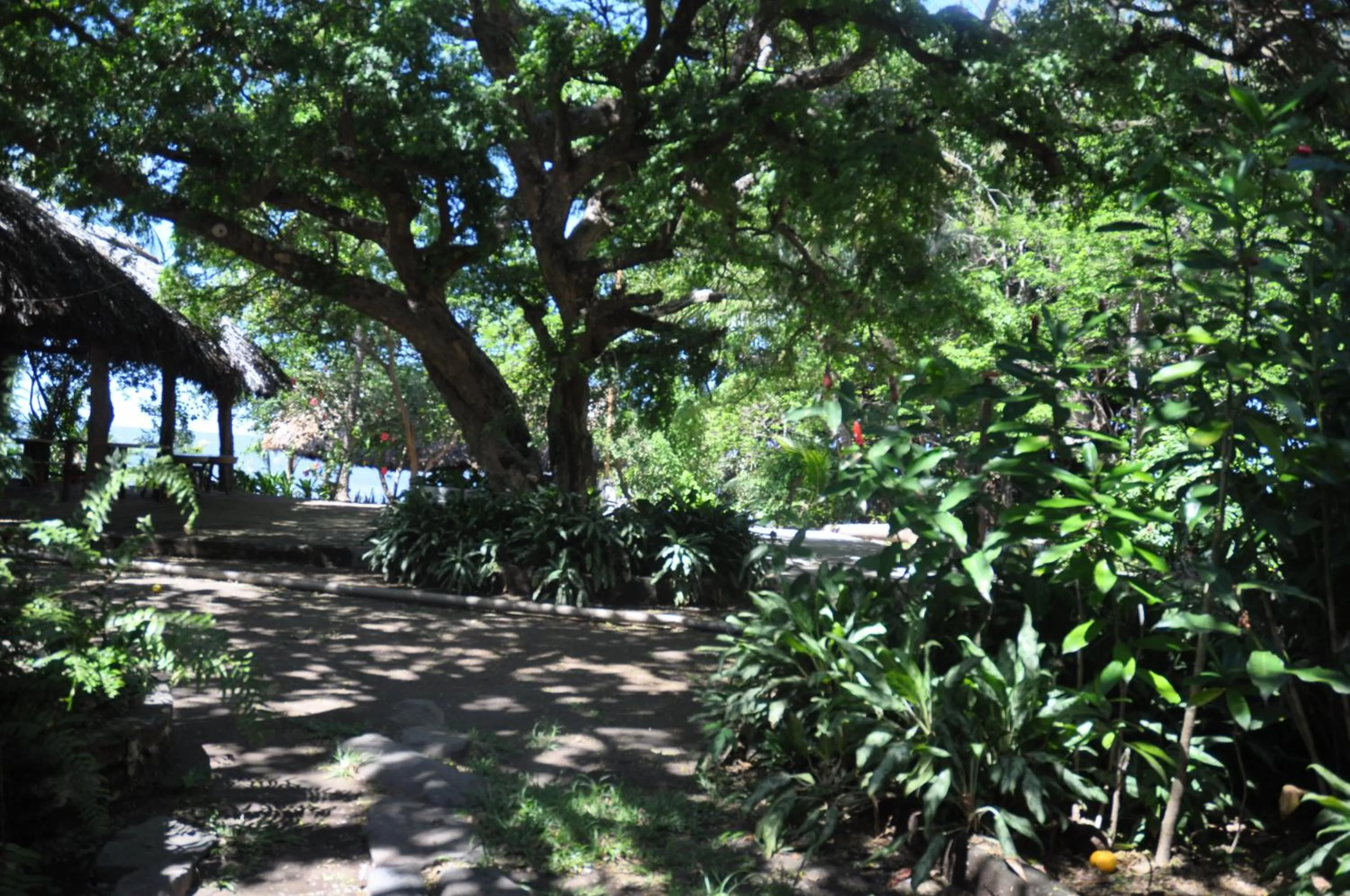 Garden in Hotel Ecológico Tierra Blanca
