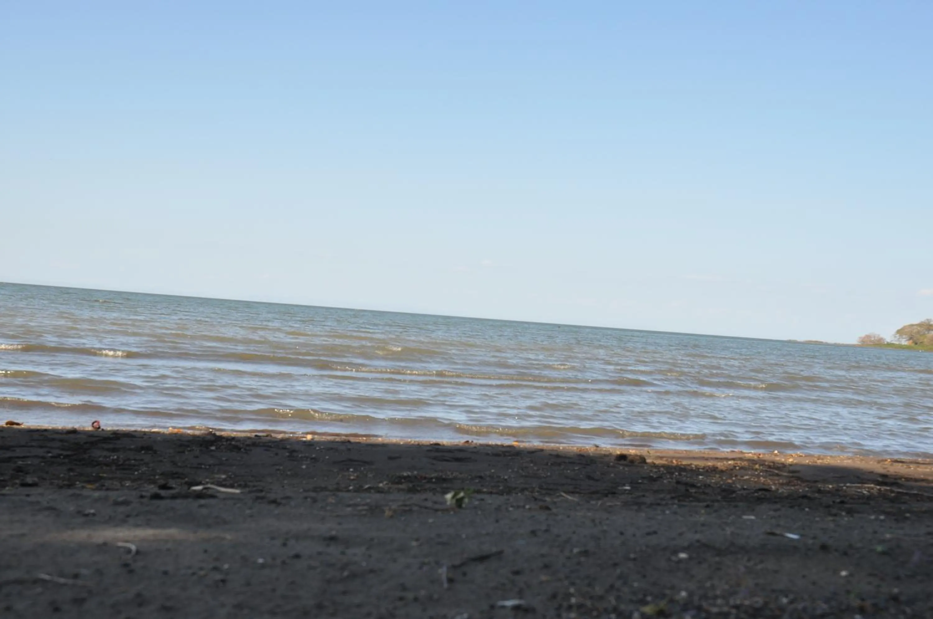 Beach in Hotel Ecológico Tierra Blanca