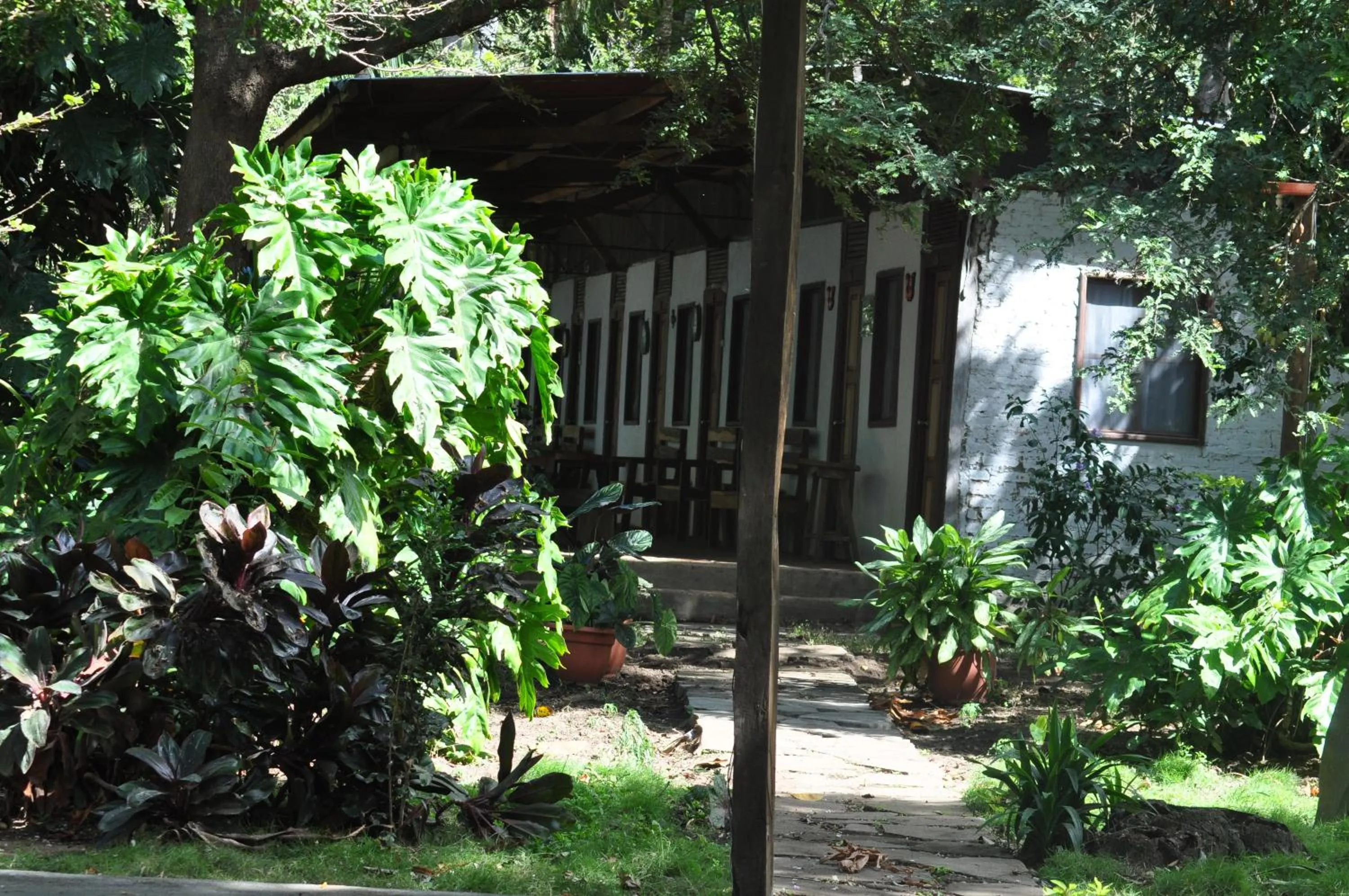 Facade/entrance in Hotel Ecológico Tierra Blanca