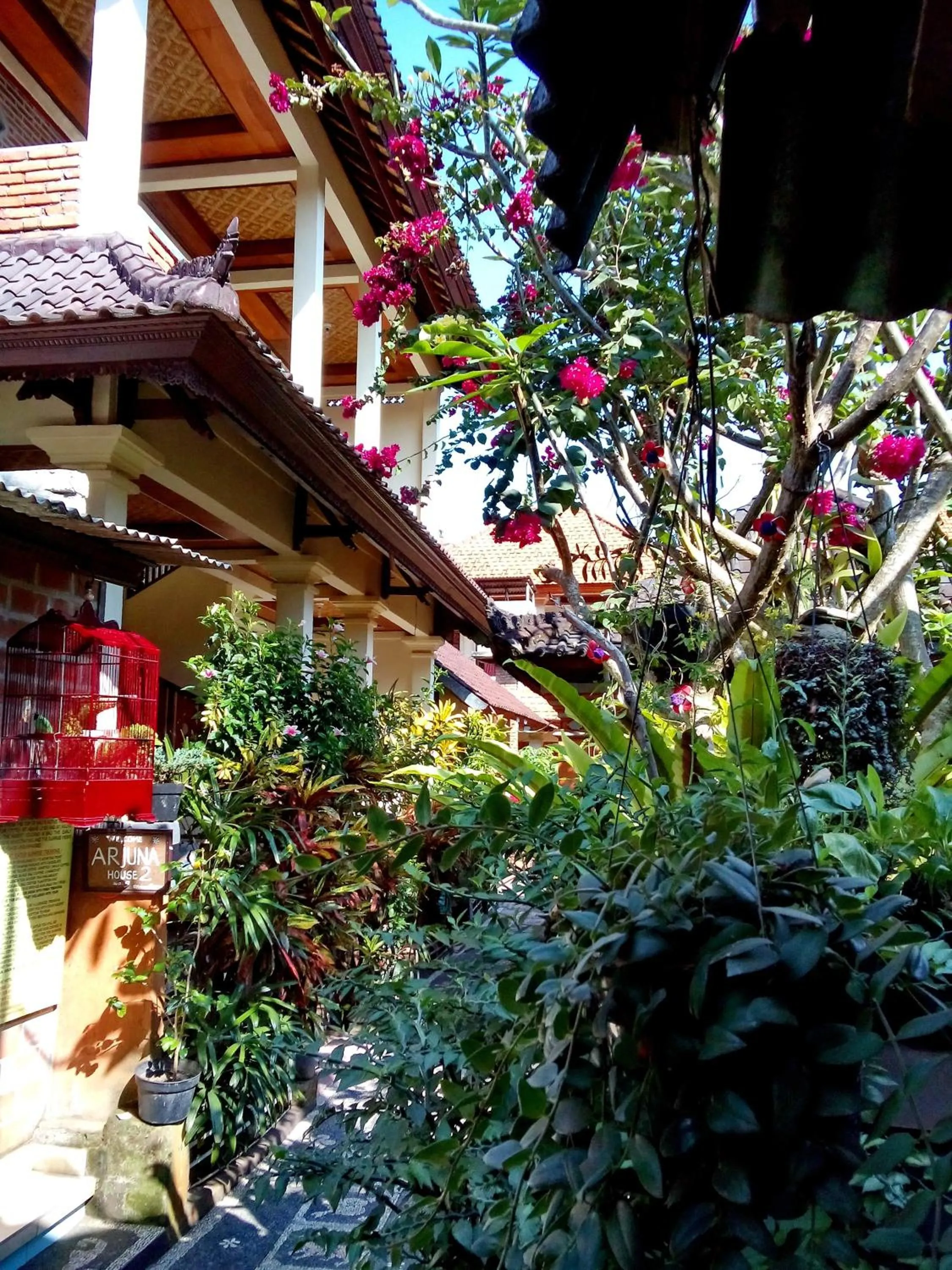 Day in Arjuna Homestay Ubud
