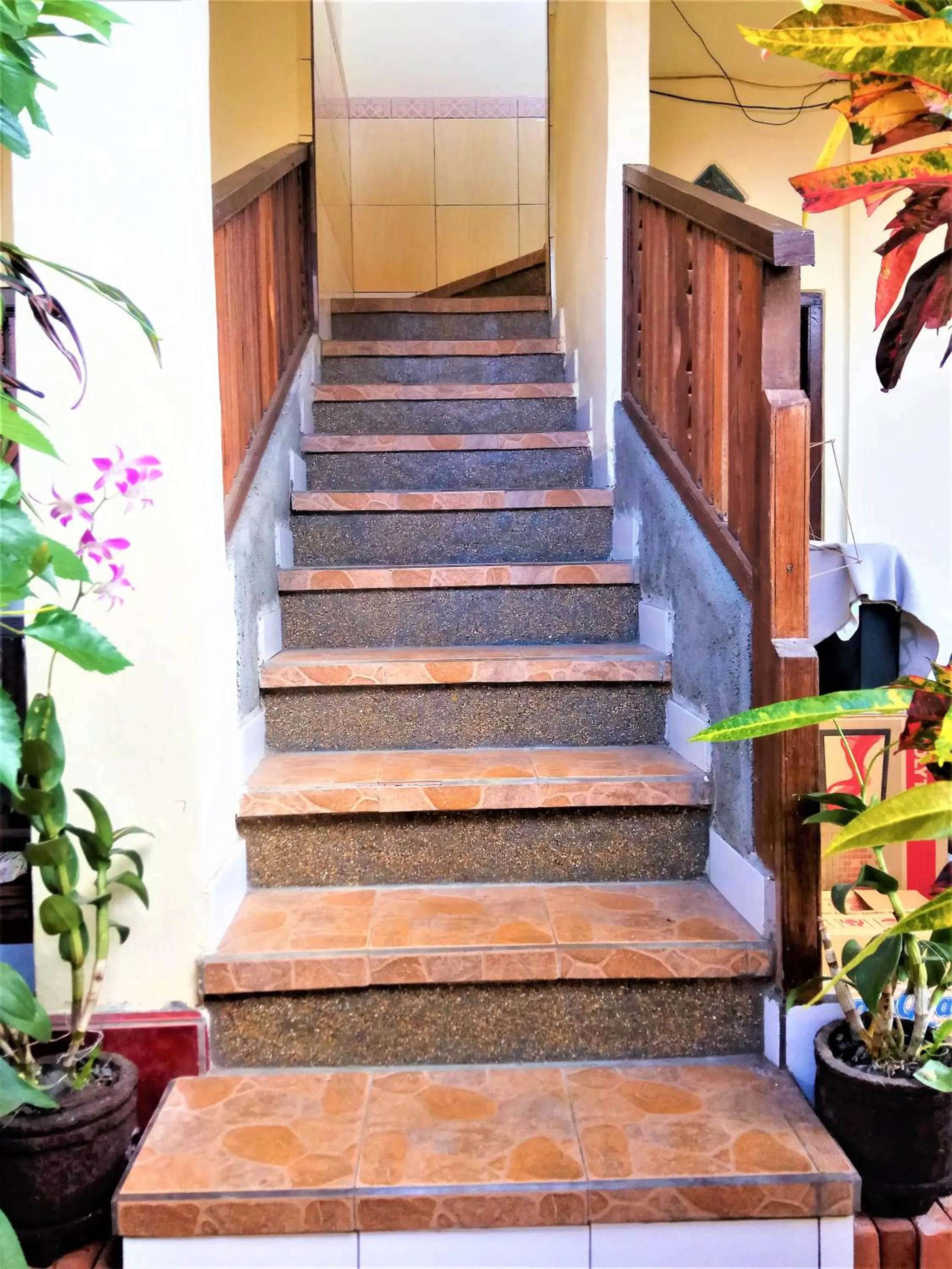 Property building in Arjuna Homestay Ubud
