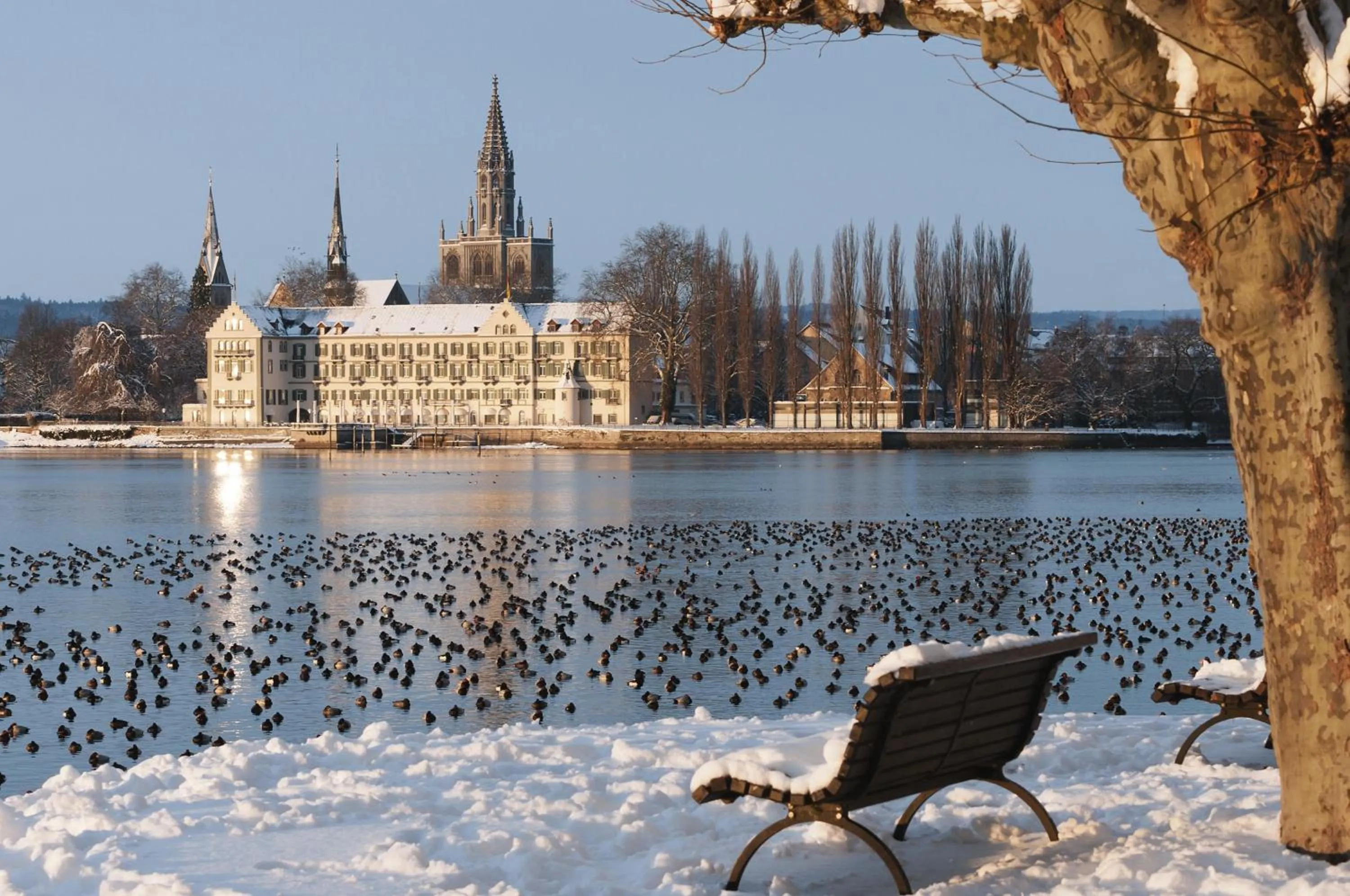 Property building in Steigenberger Inselhotel