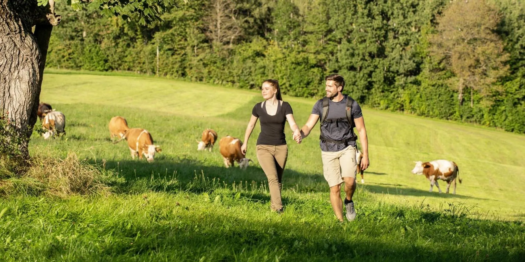 Sonnenhof Resort Bayerischer Wald