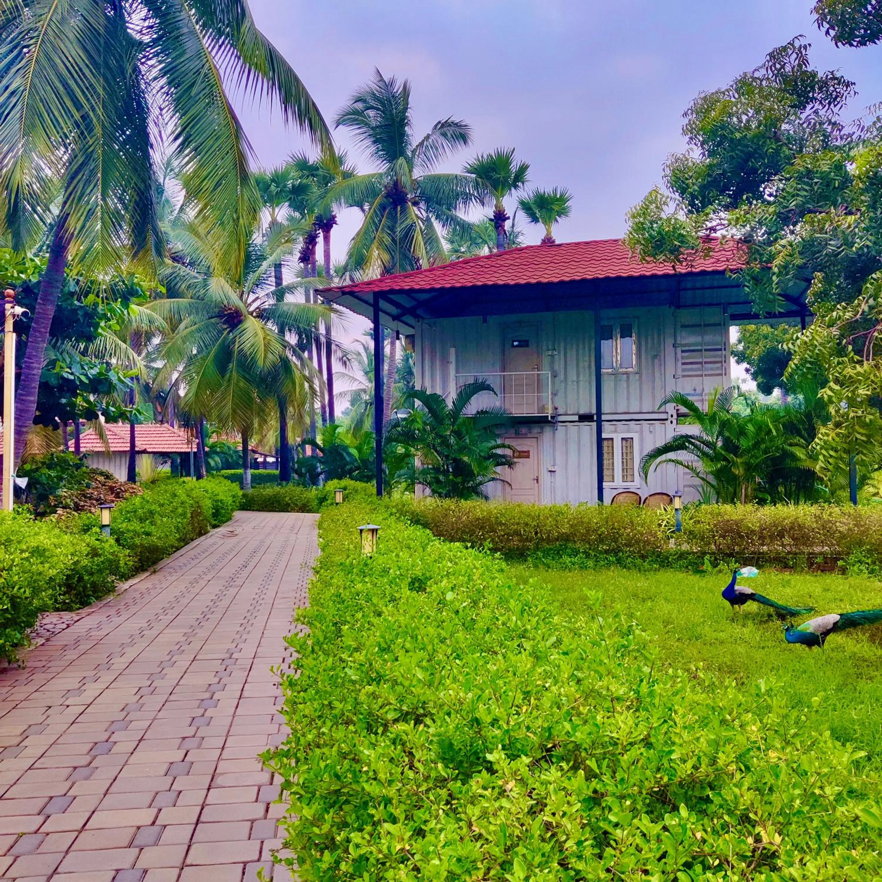 Other in Joe's Beach Shack - Beach resort, Ramanathapuram