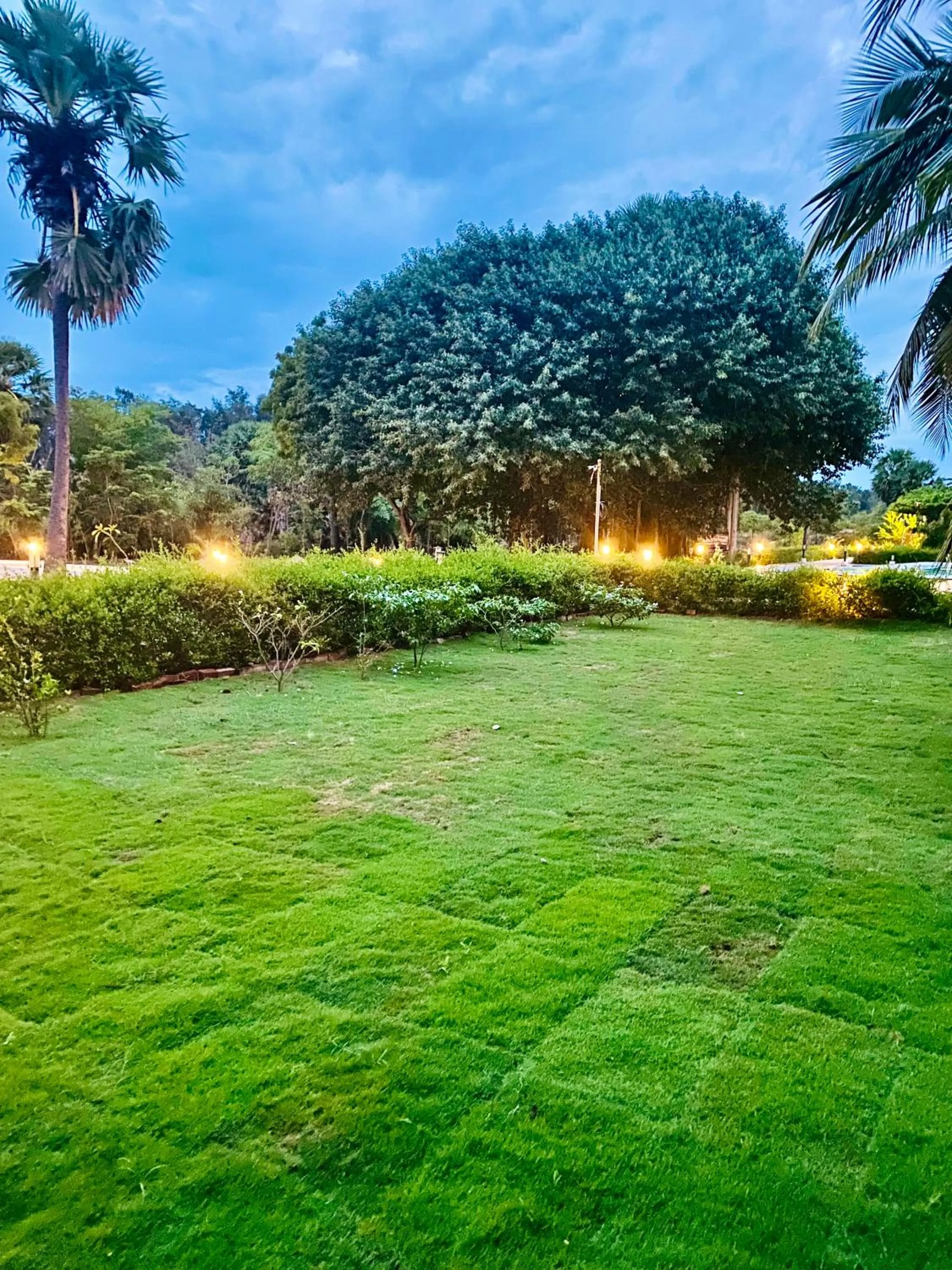 Garden in Joe's Beach Shack - Beach resort, Ramanathapuram
