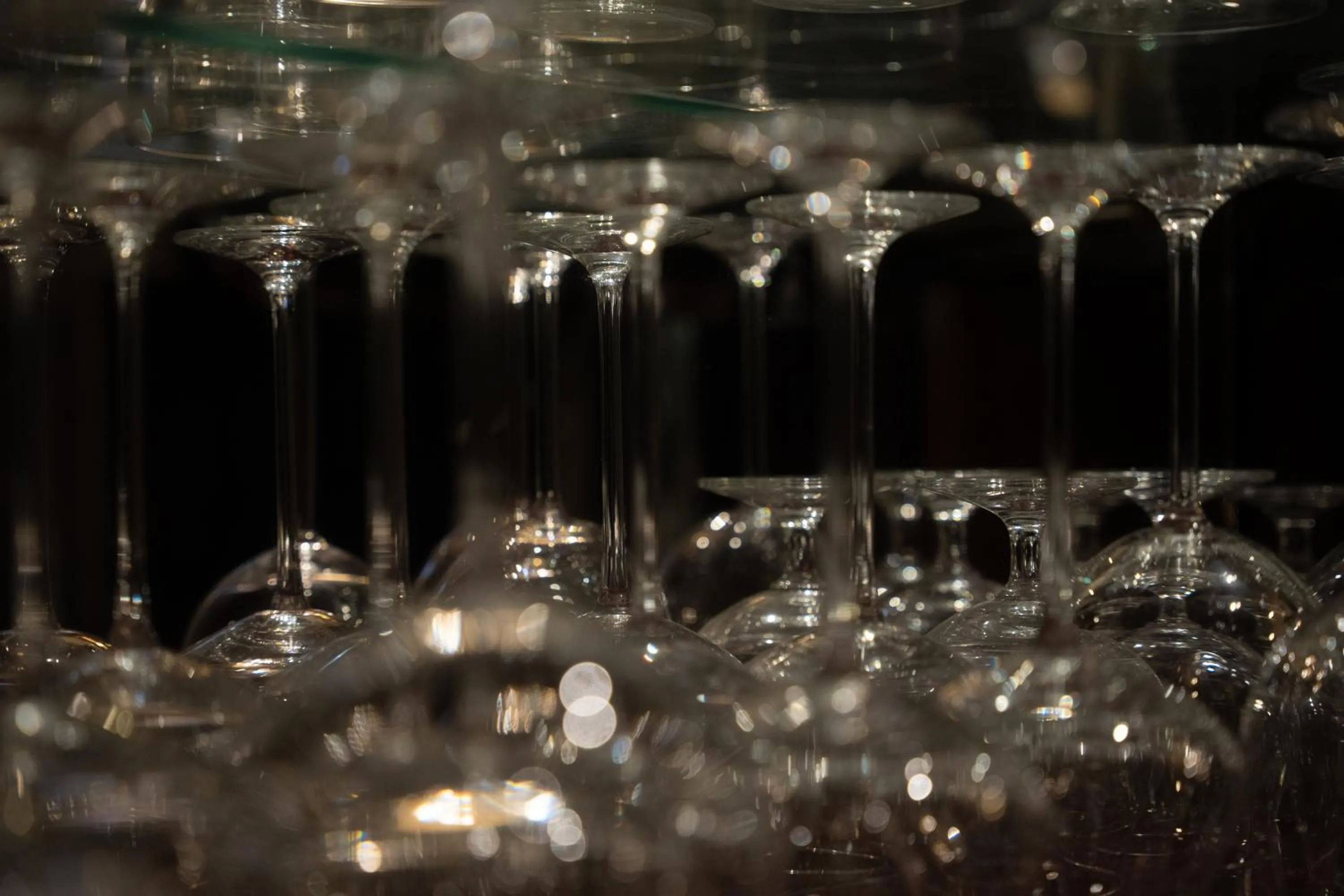 Lounge or bar in Hotel Grille