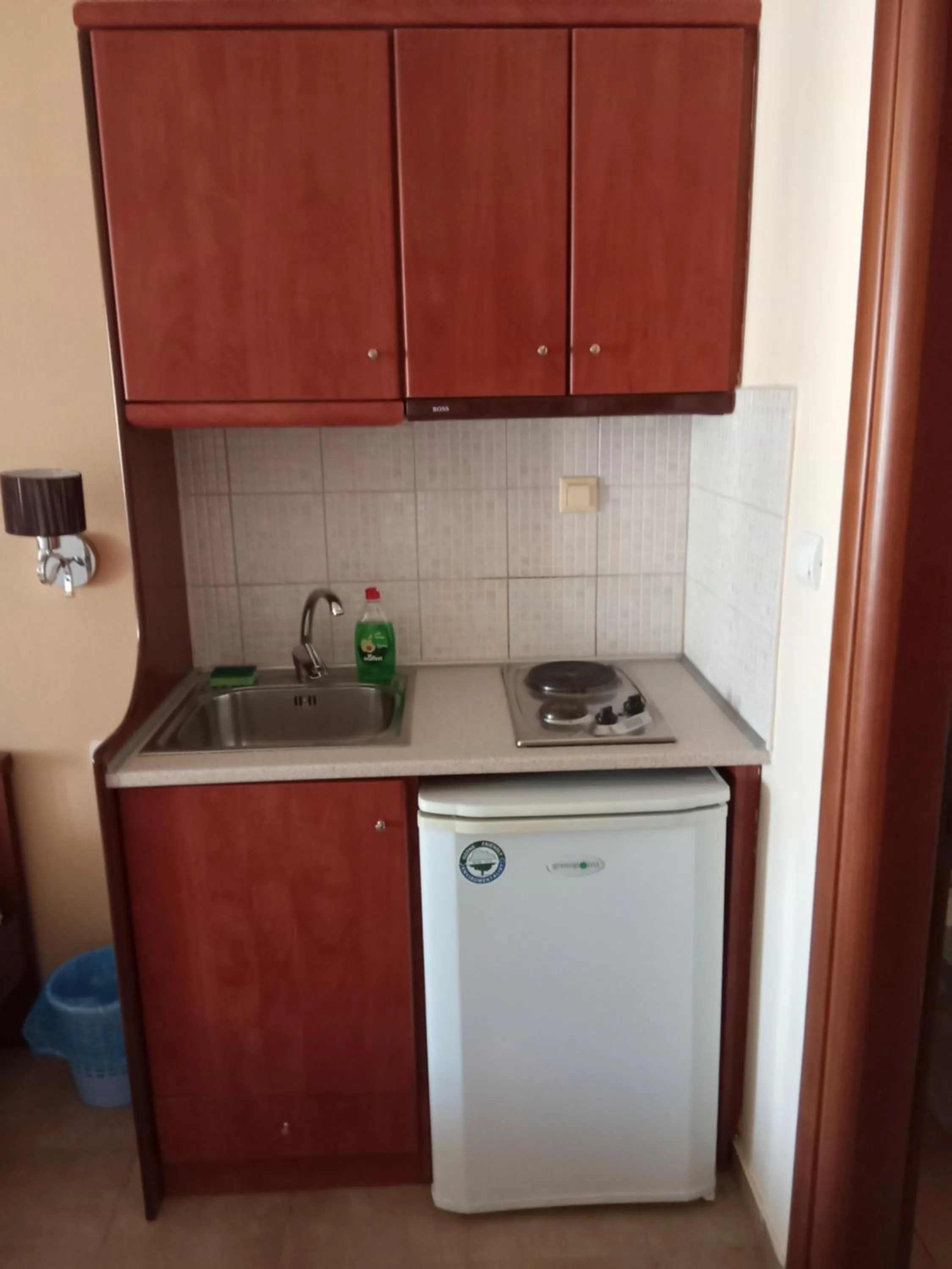 Kitchen or kitchenette in Olympic Studios Aslanidis
