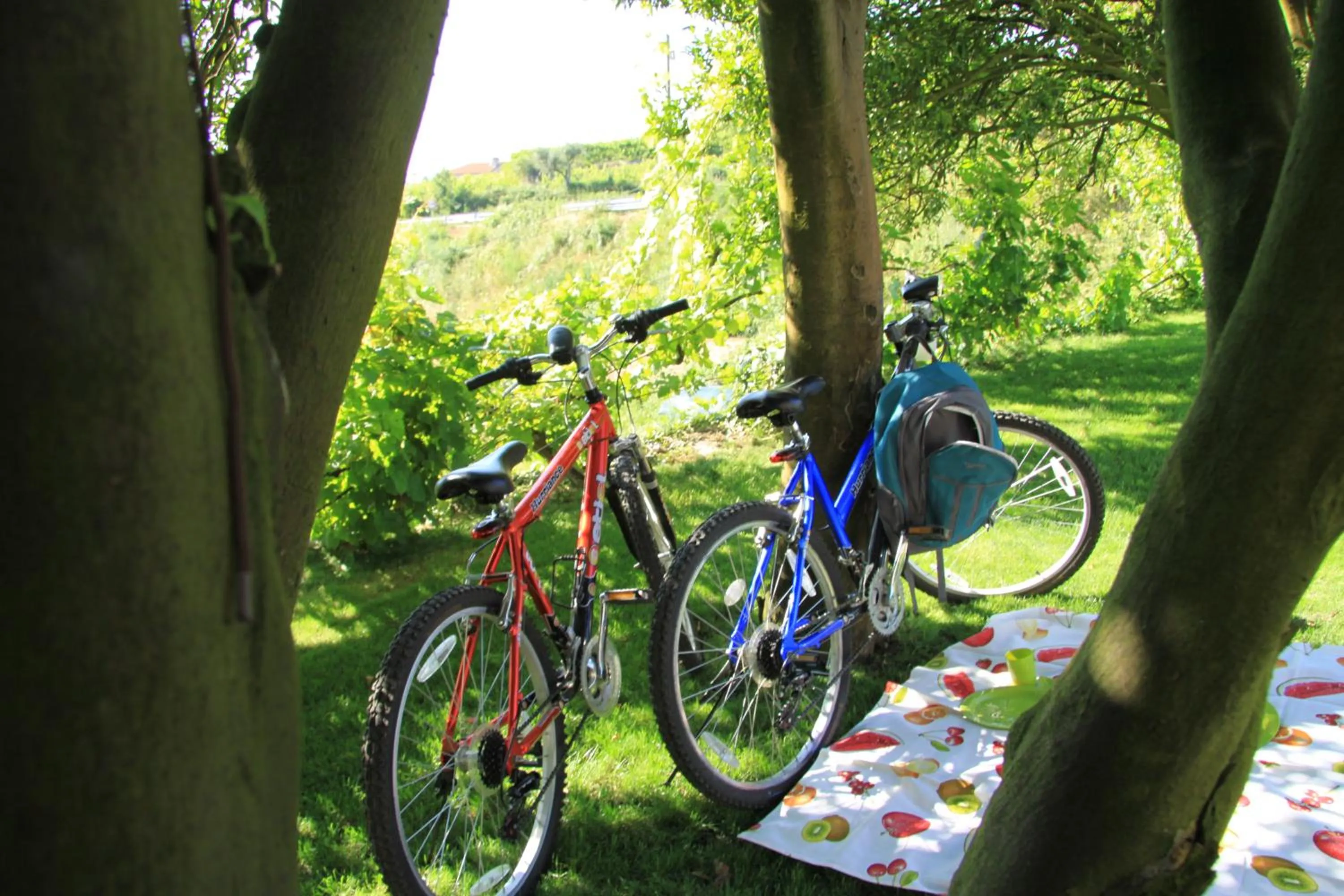 Activities in Casa Valxisto