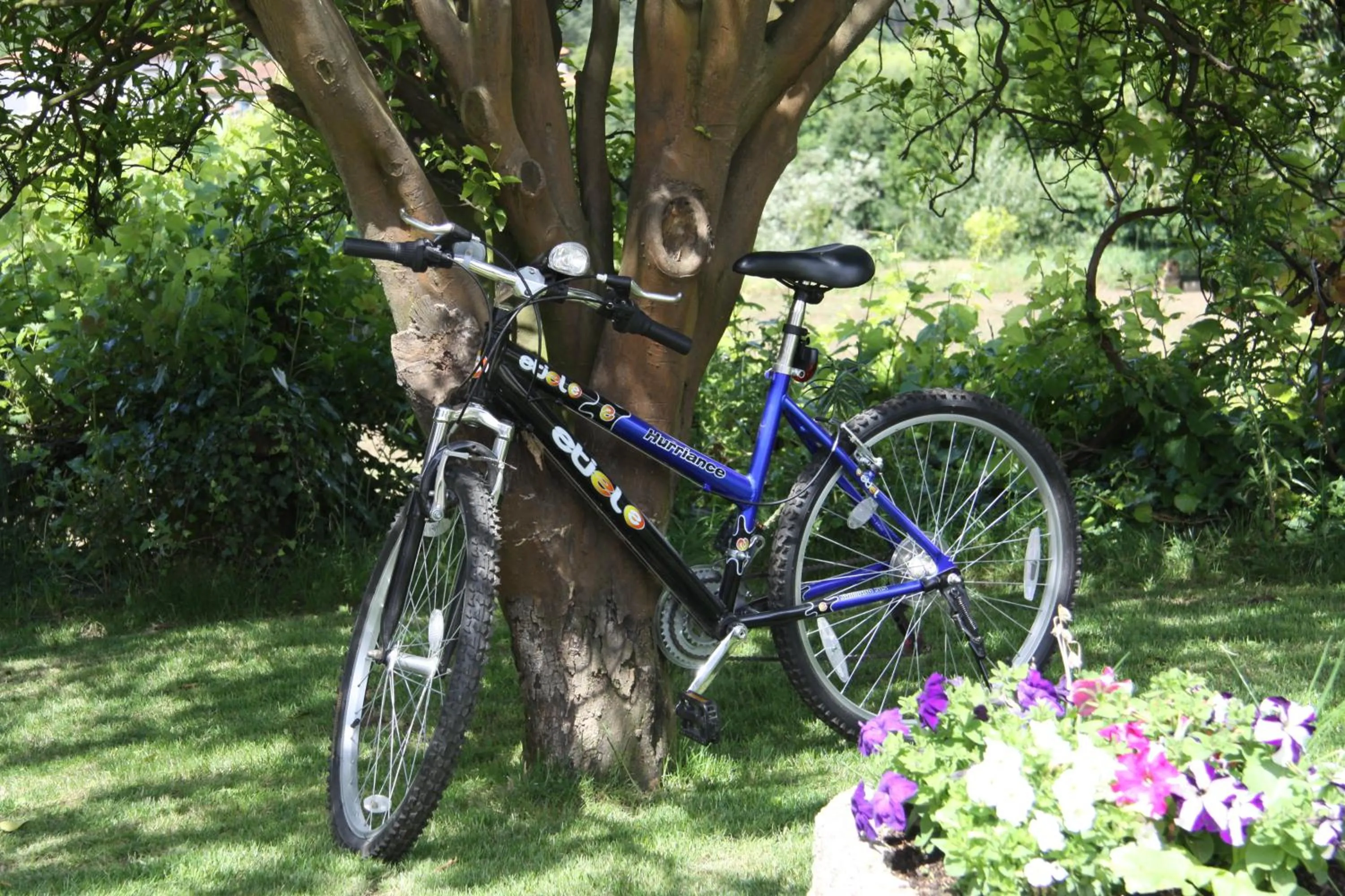 Activities in Casa Valxisto