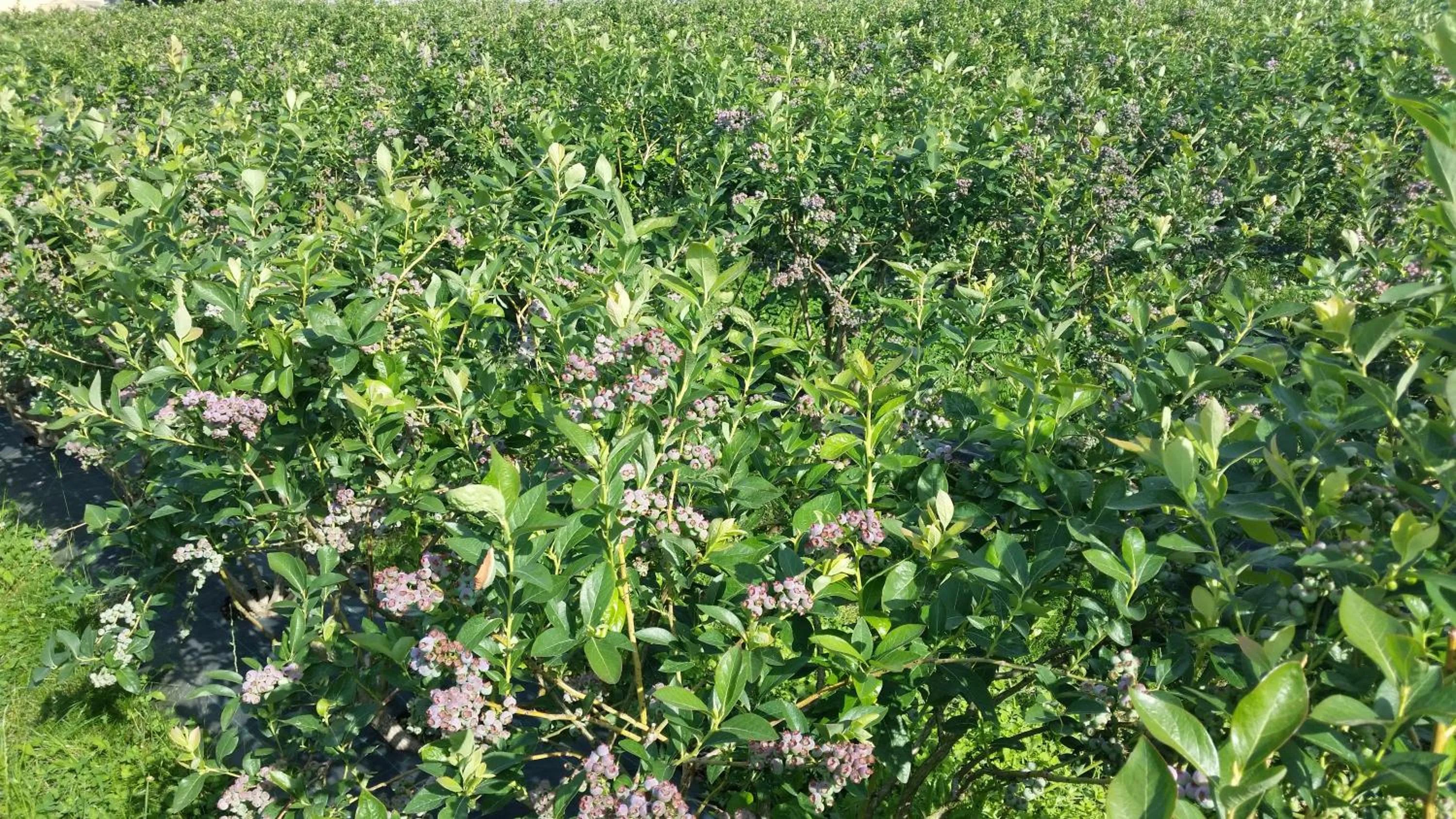 Natural landscape in Casa Valxisto