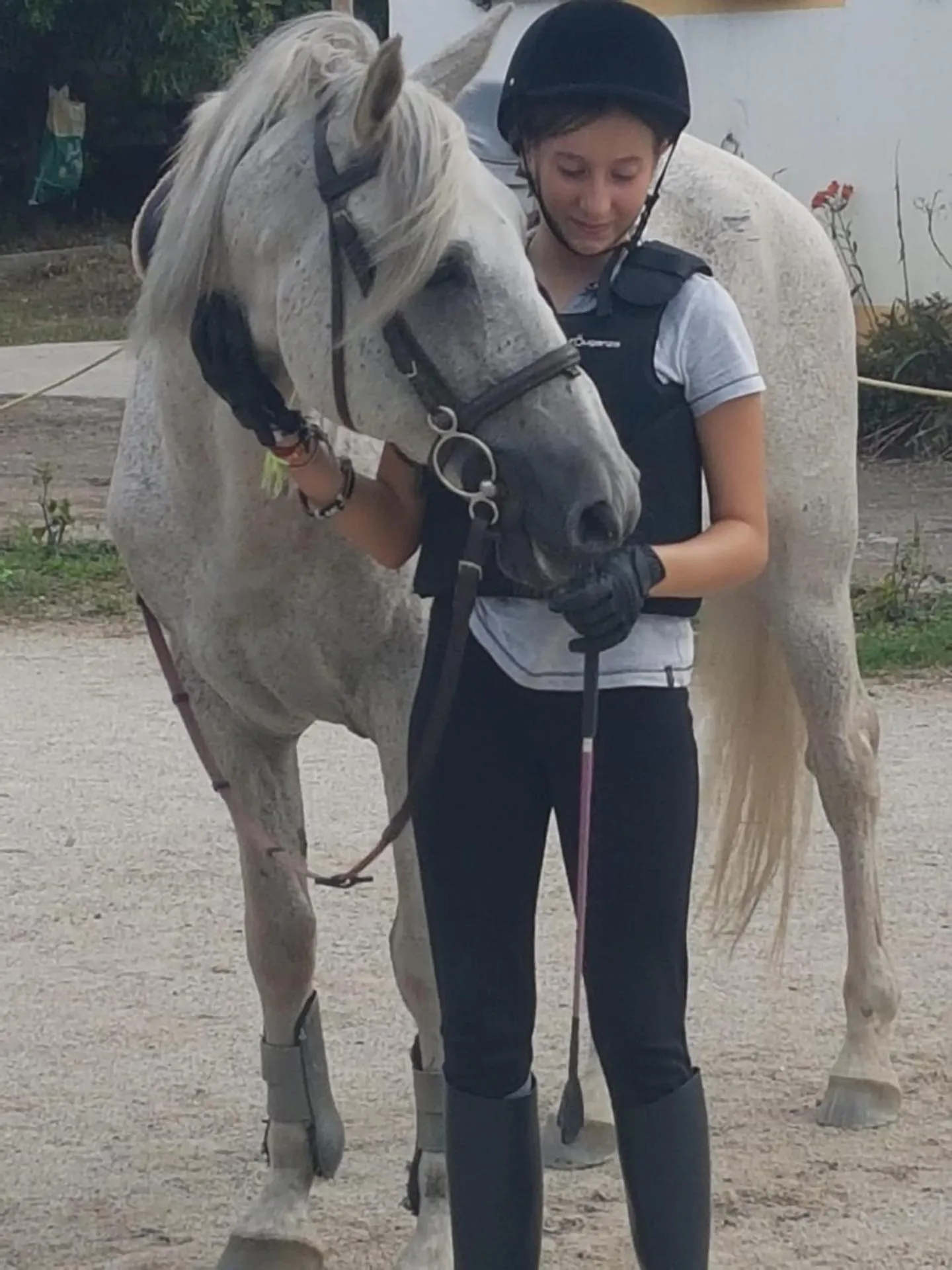 Activities in Casa Valxisto