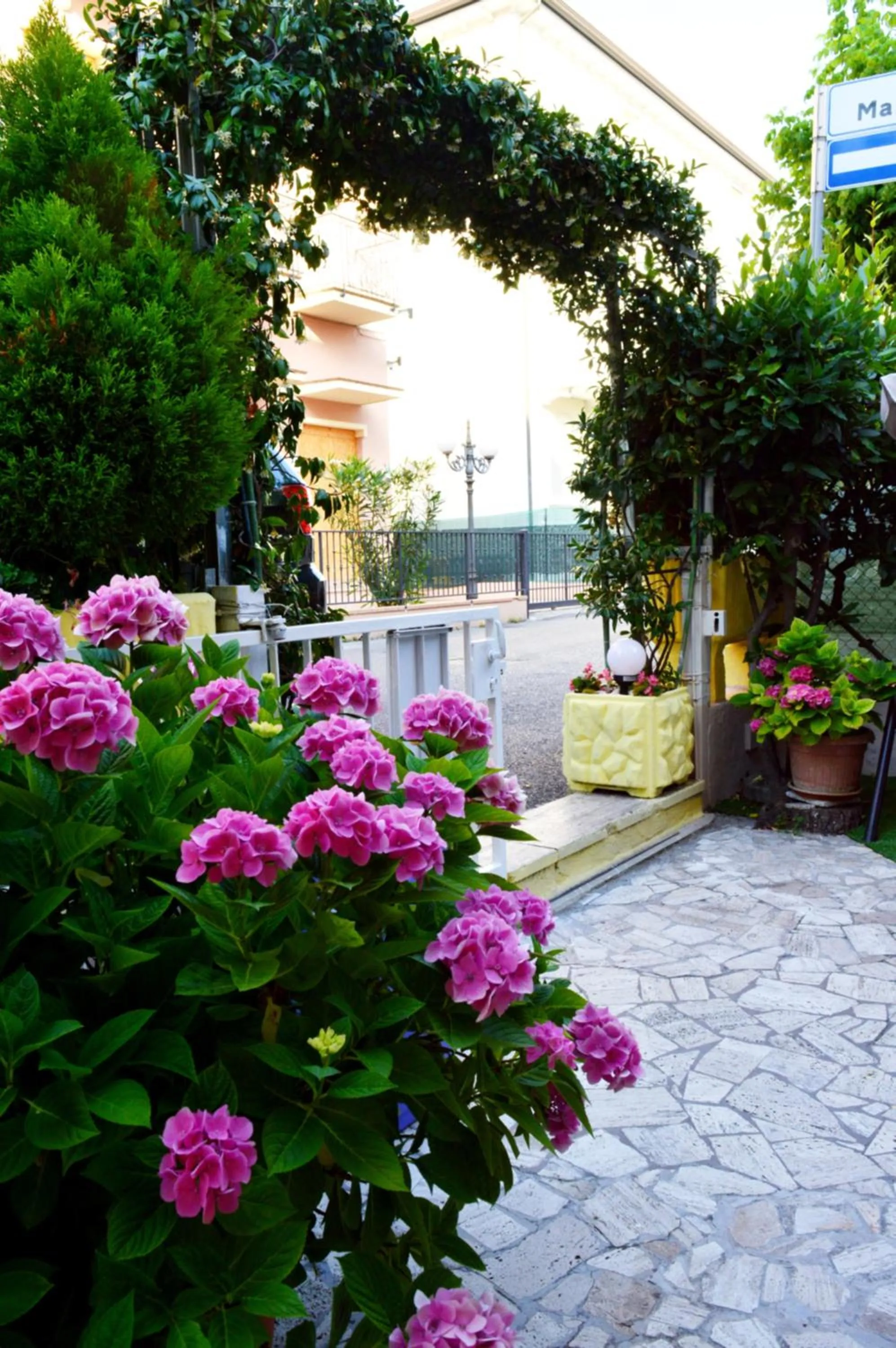 Garden in Hotel Cirene