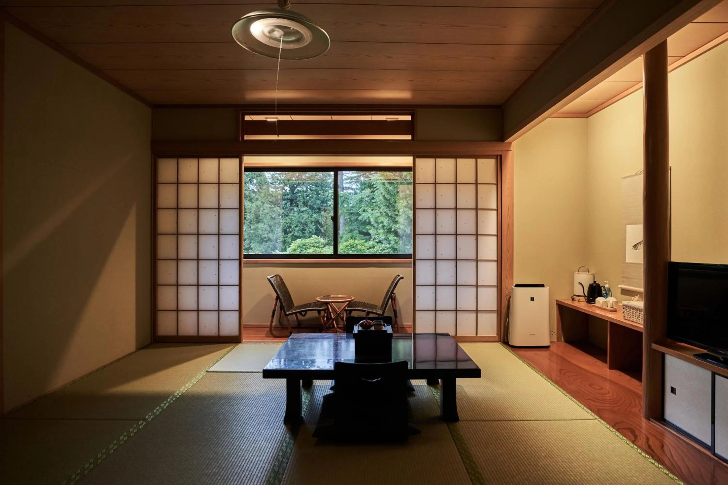 TV and multimedia in Ajisai Onsen Ryokan - Award Winning Private Open Air Onsen