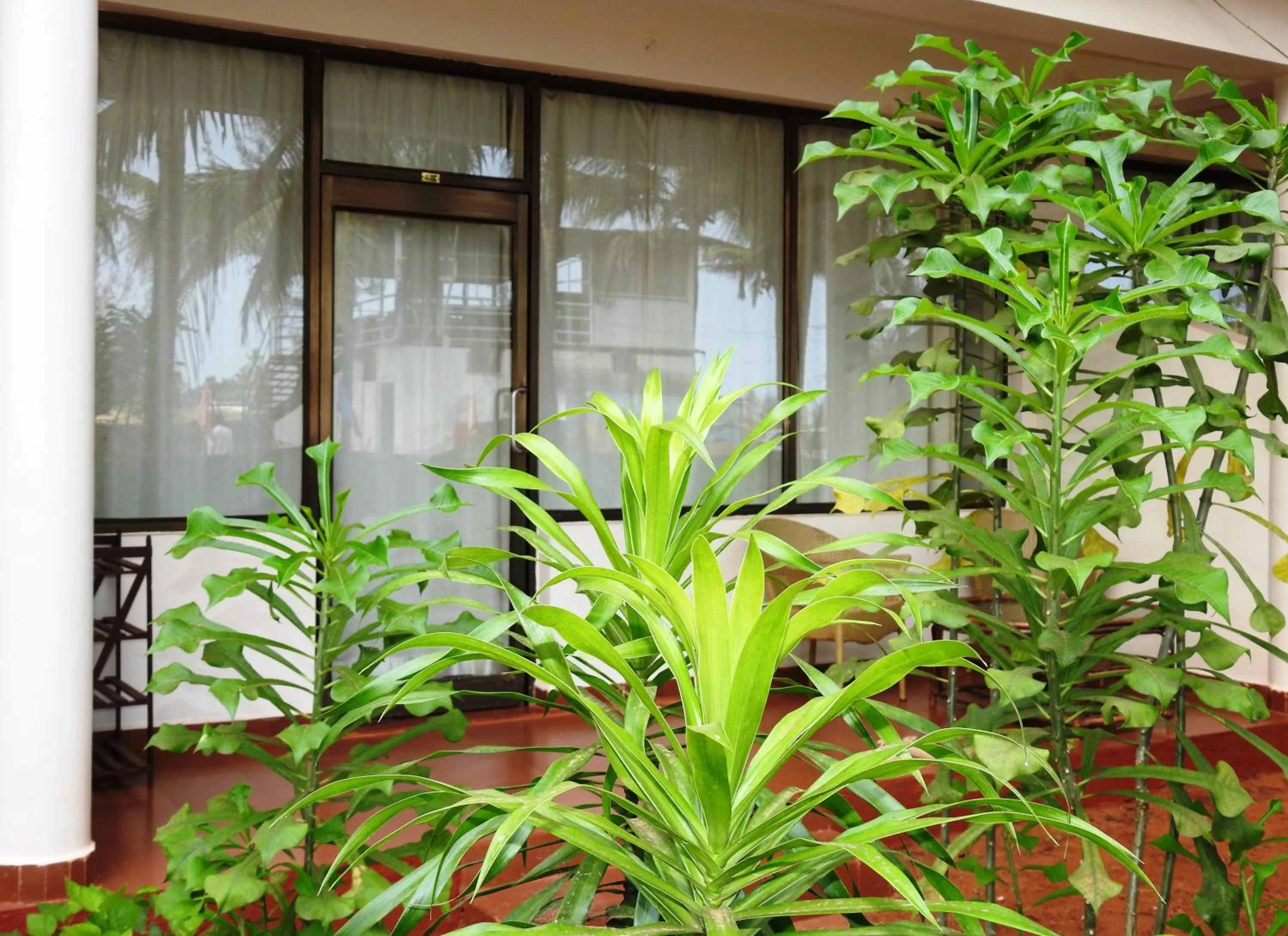 Spring in Morjim Hermitage