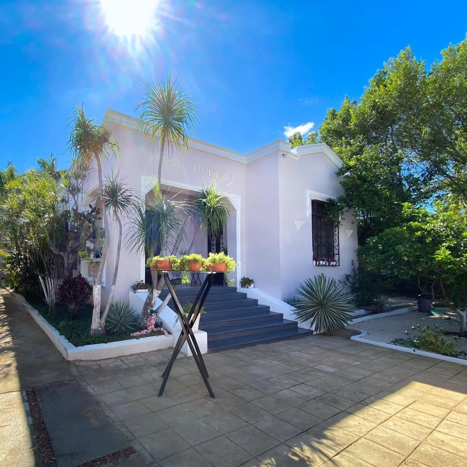 Lobby or reception in Villa Octavia