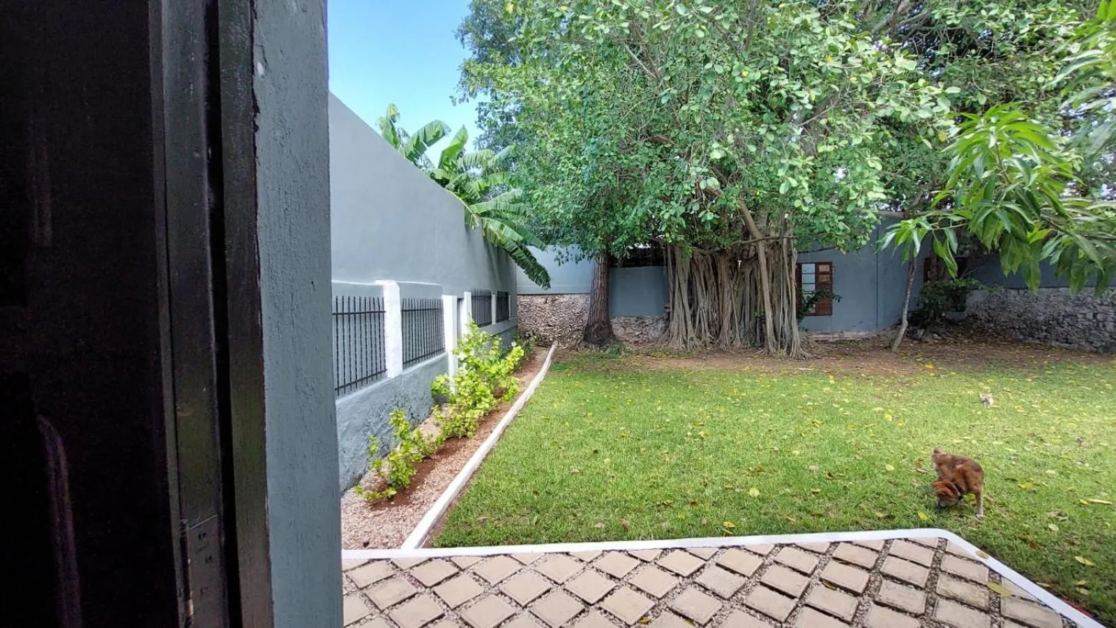 Garden in Villa Octavia