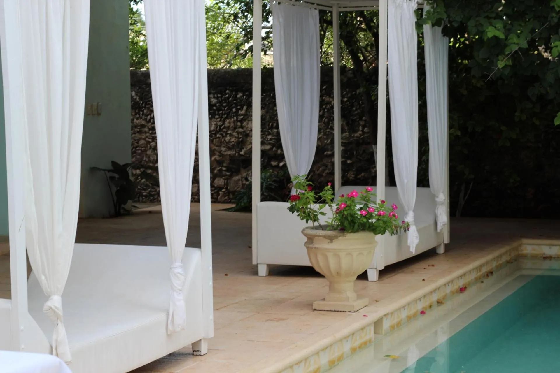 Swimming pool in Villa Octavia