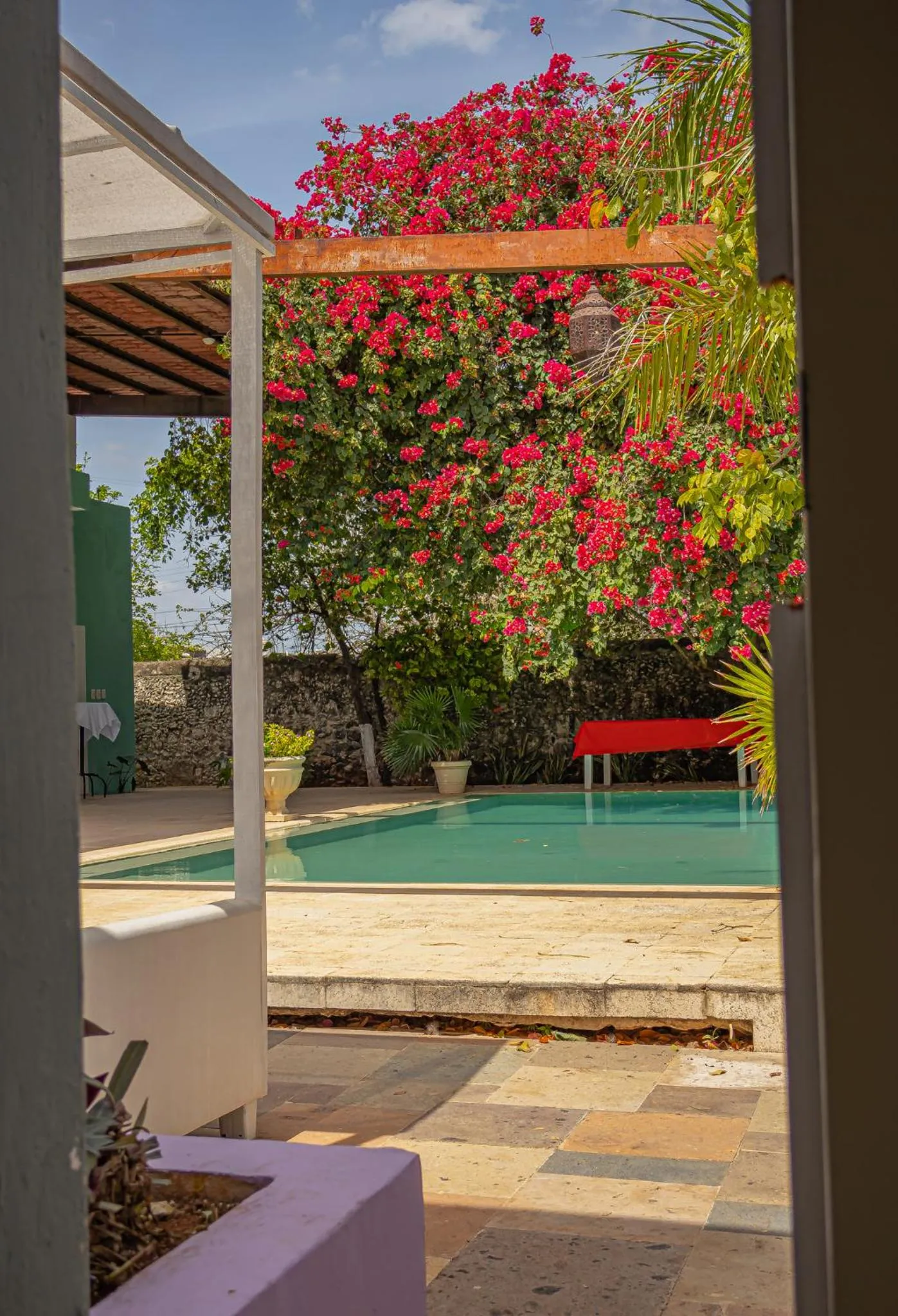 Swimming pool in Villa Octavia