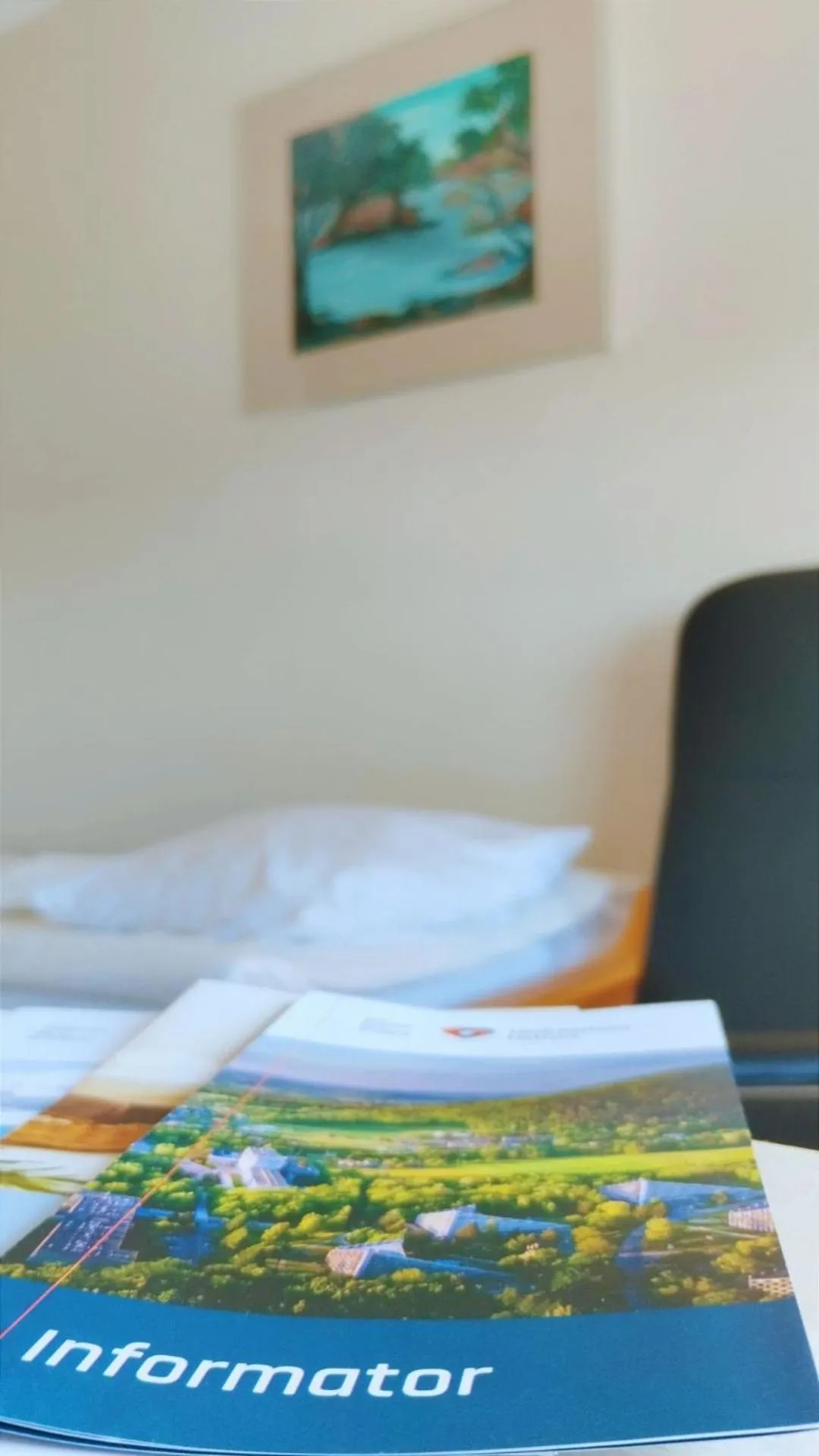 Bed in Sanatorium Równica