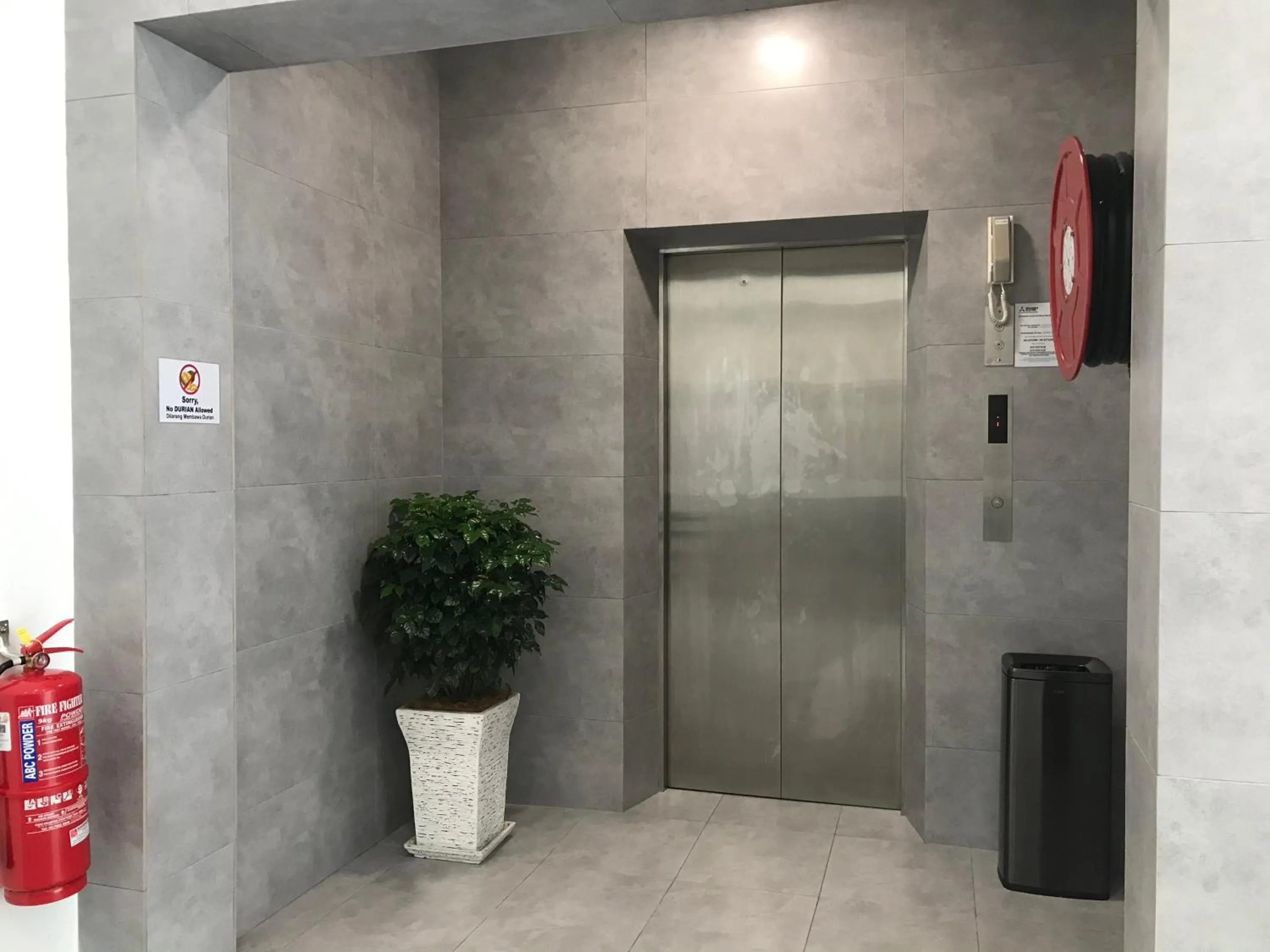 Lobby or reception in Dandelion Inn