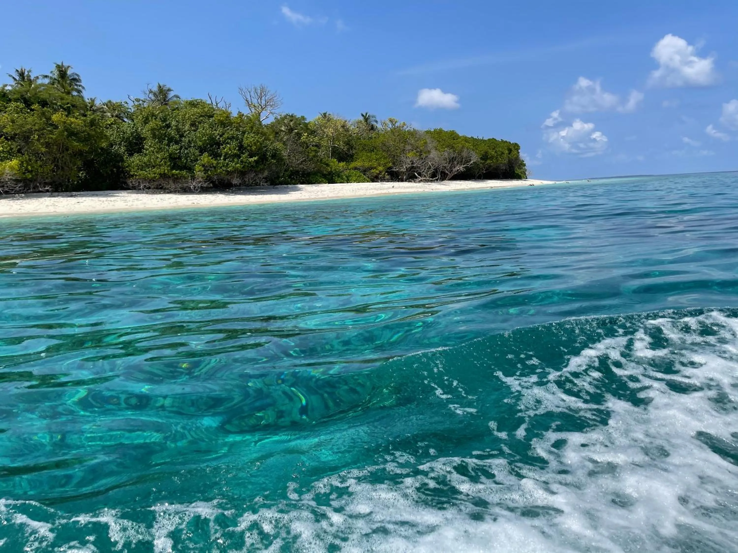 Natural landscape in Viluveli Holiday Retreat