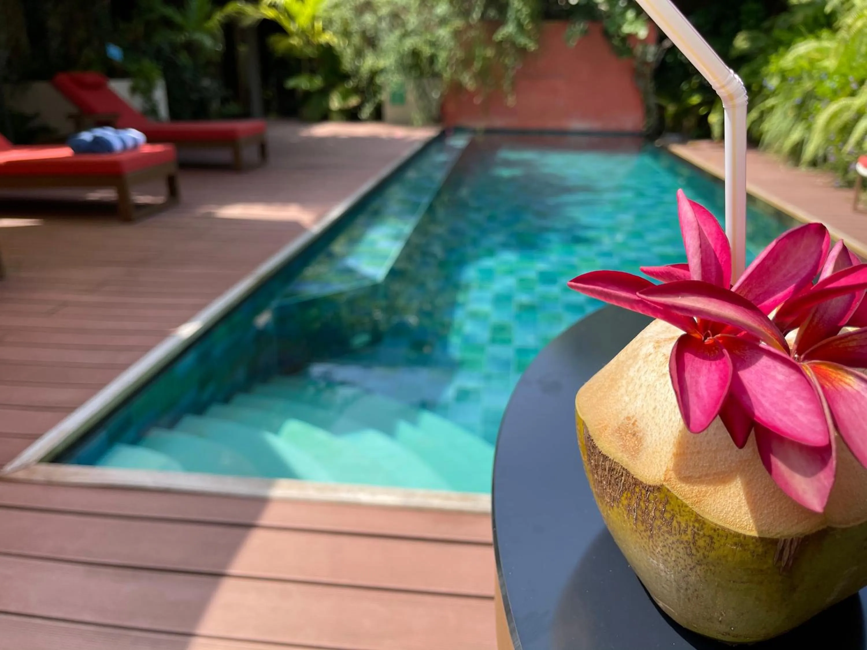 Swimming pool in Viluveli Holiday Retreat