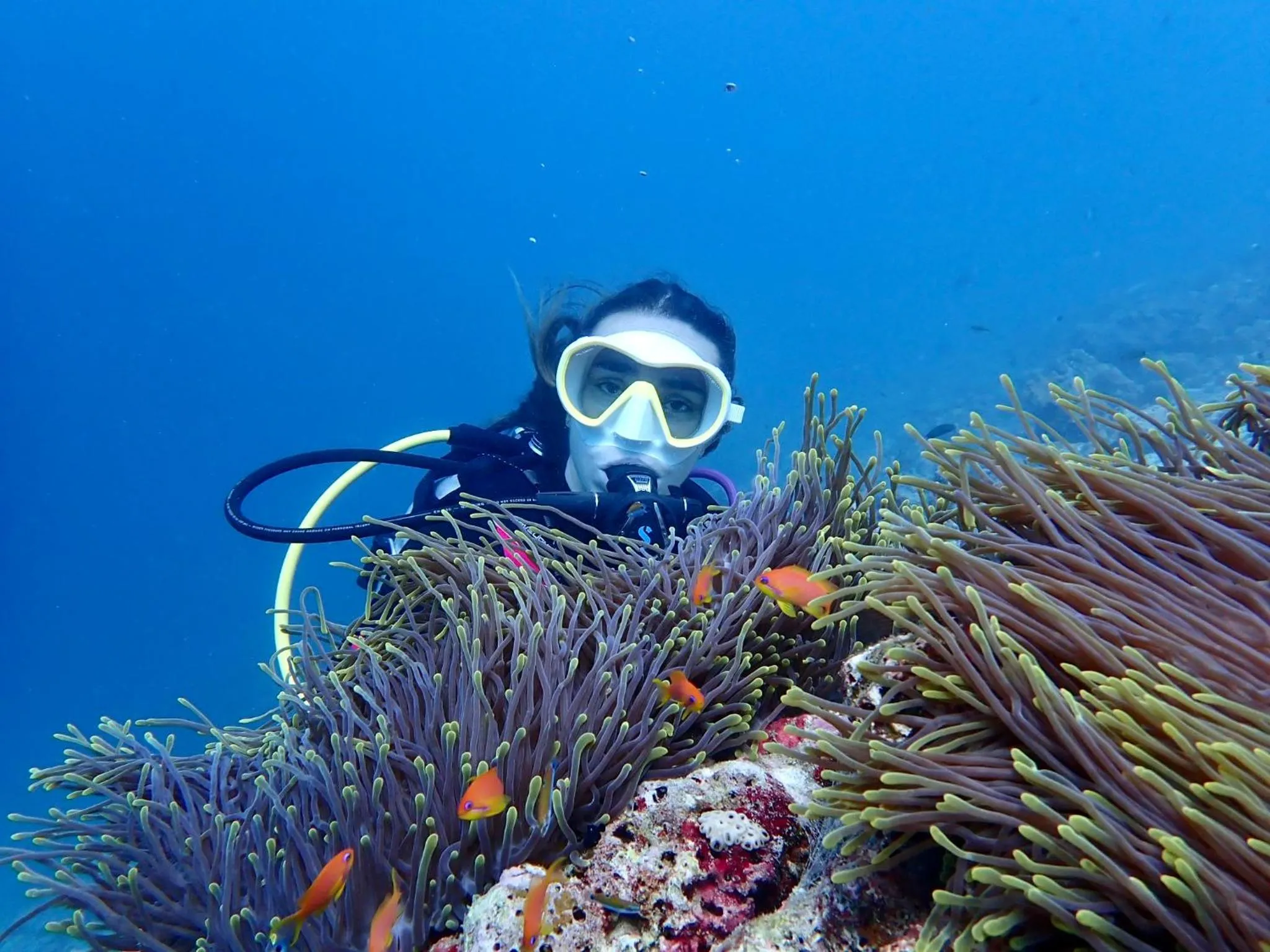 Activities in Viluveli Holiday Retreat