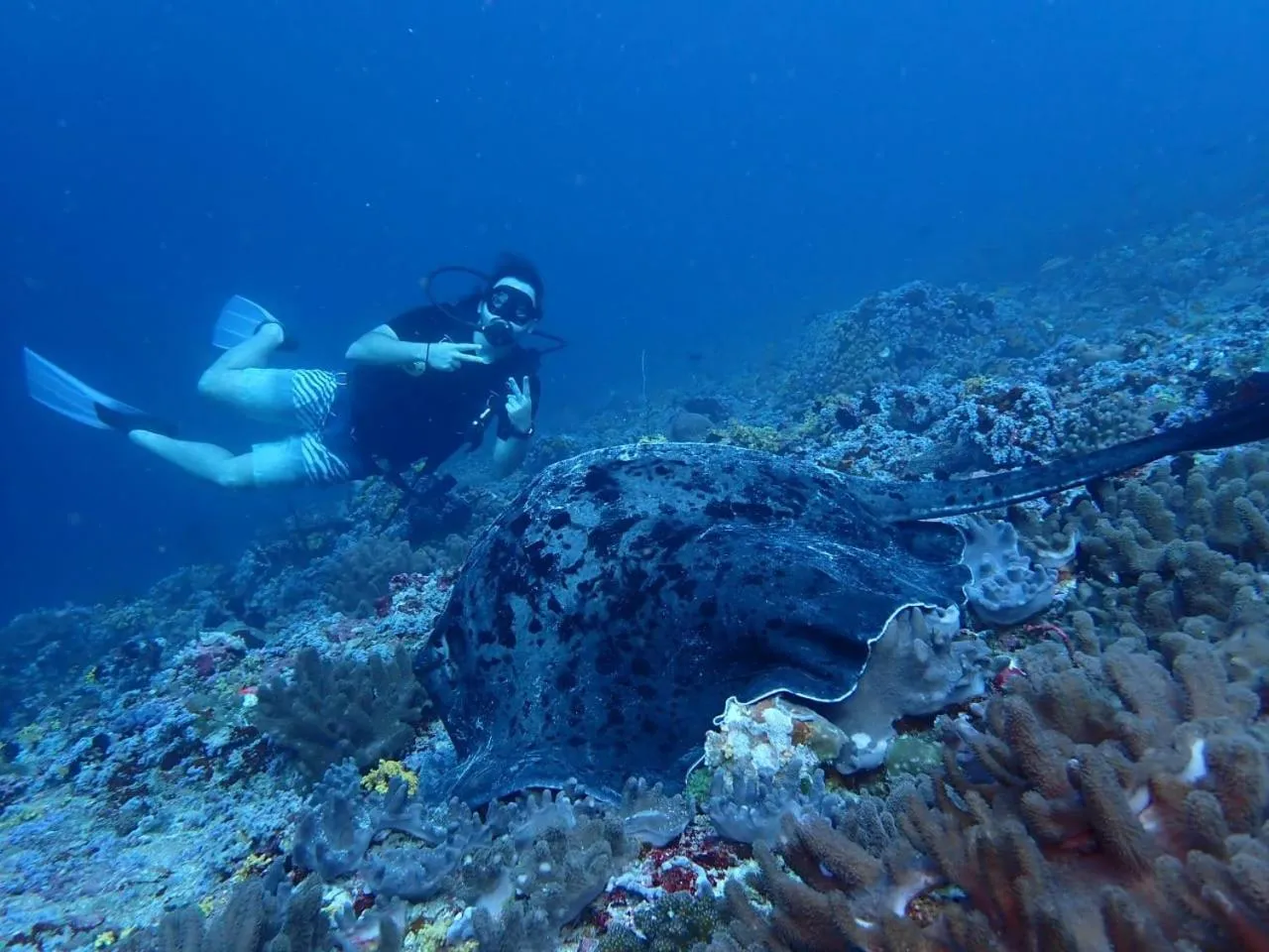 Diving in Viluveli Holiday Retreat