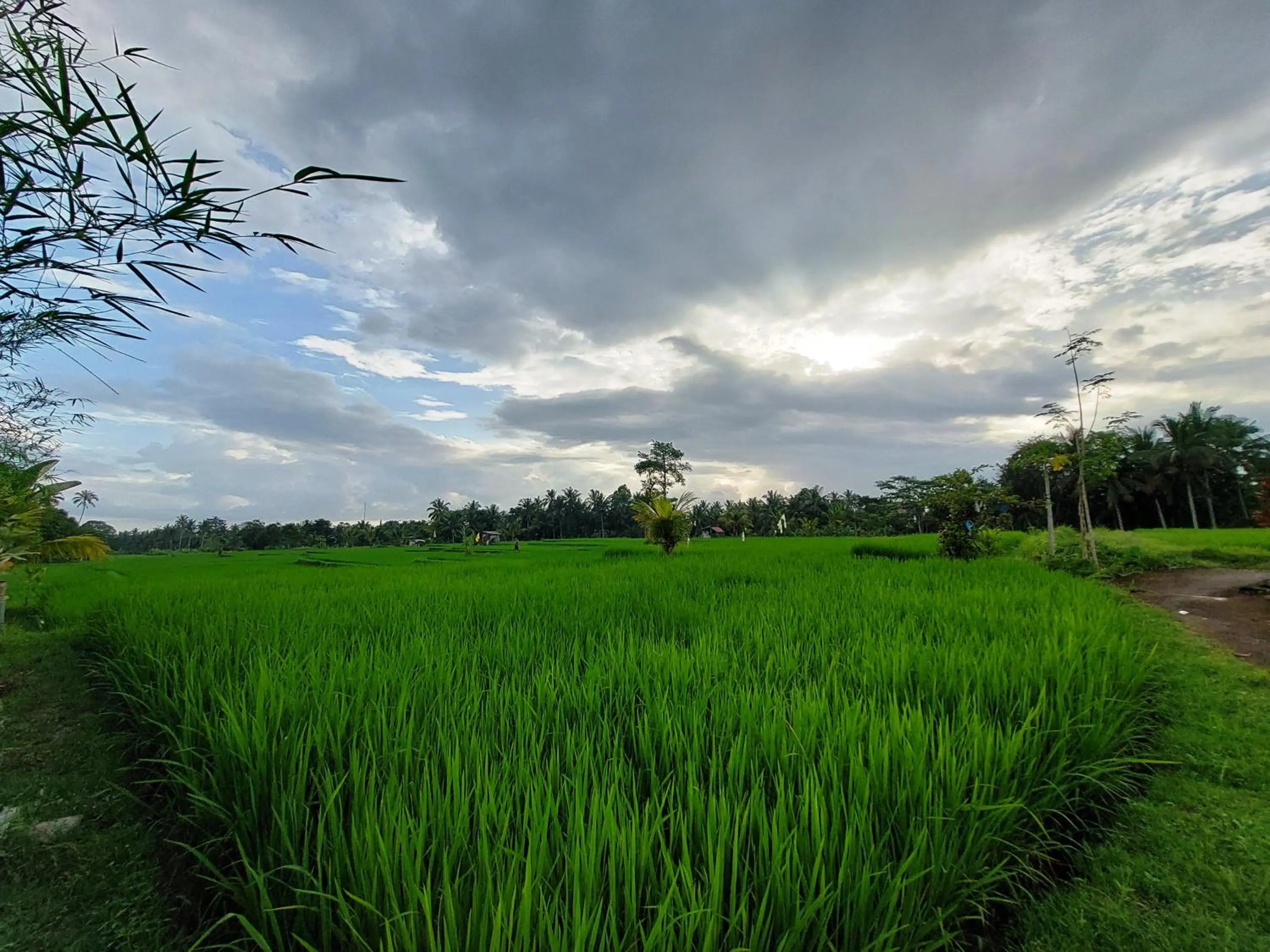 Day in Shivananda Antique Villas by EPS