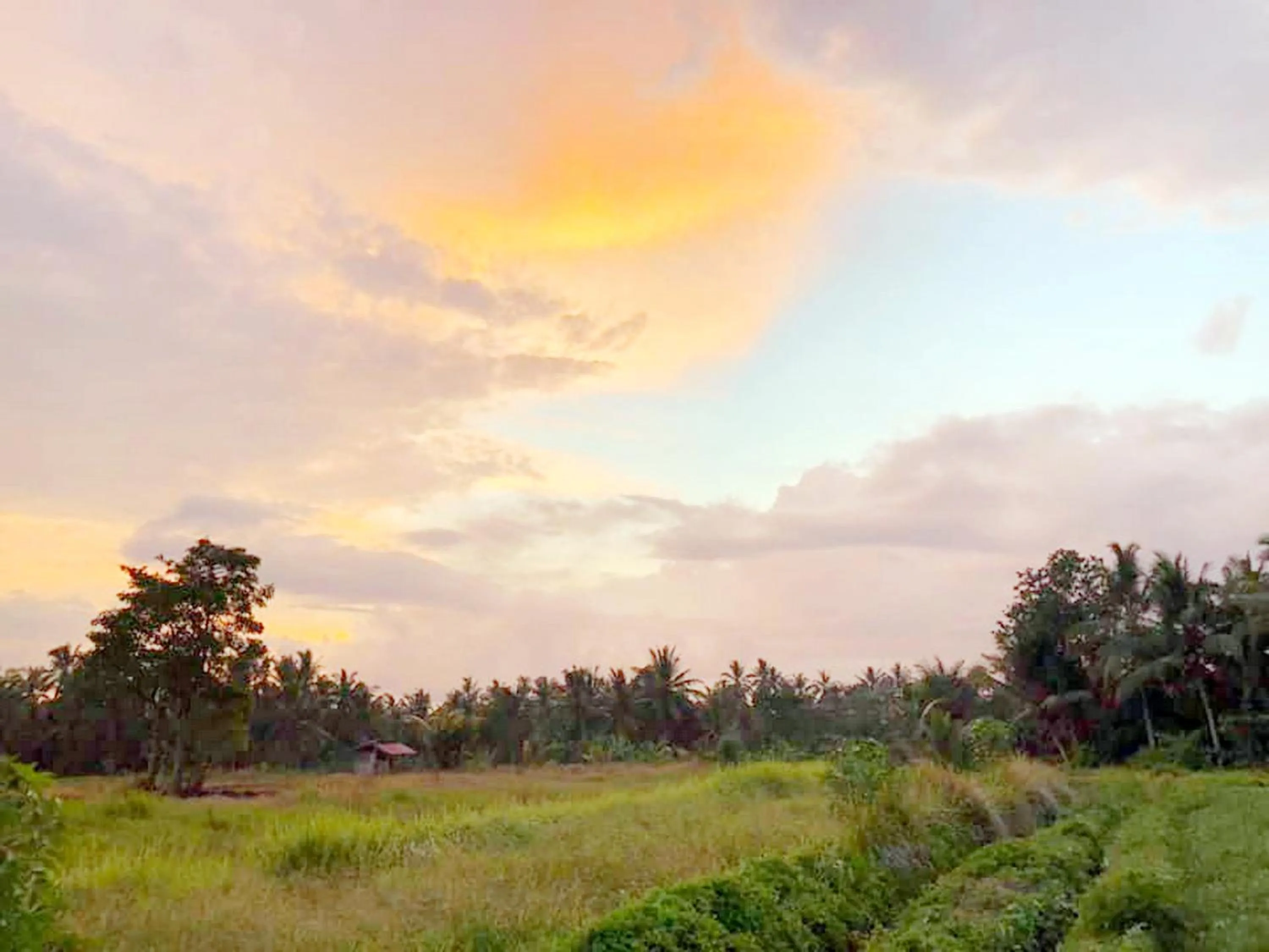 Day in Shivananda Antique Villas by EPS