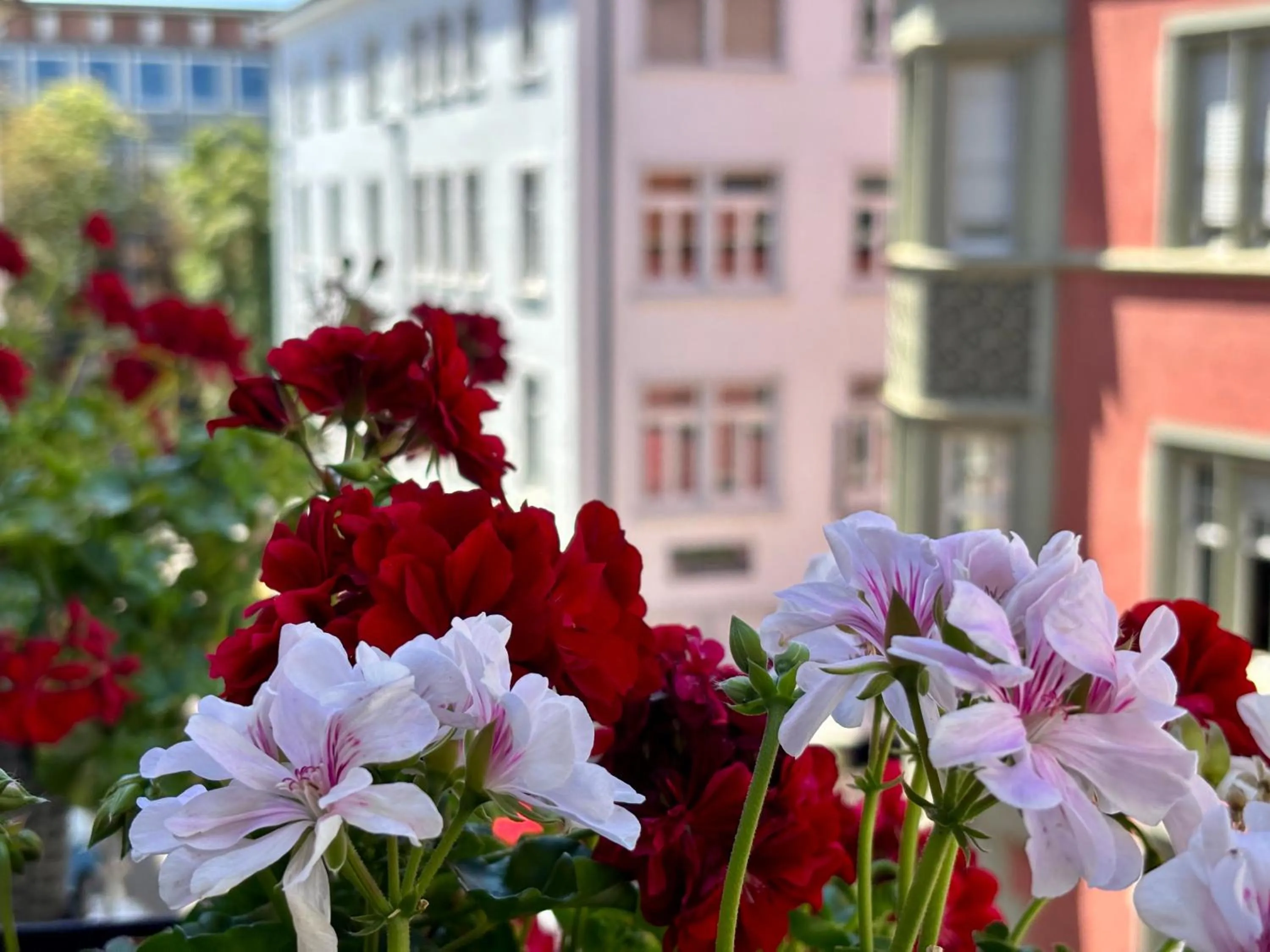 Property building in Bio Boutique Hotel Barbara