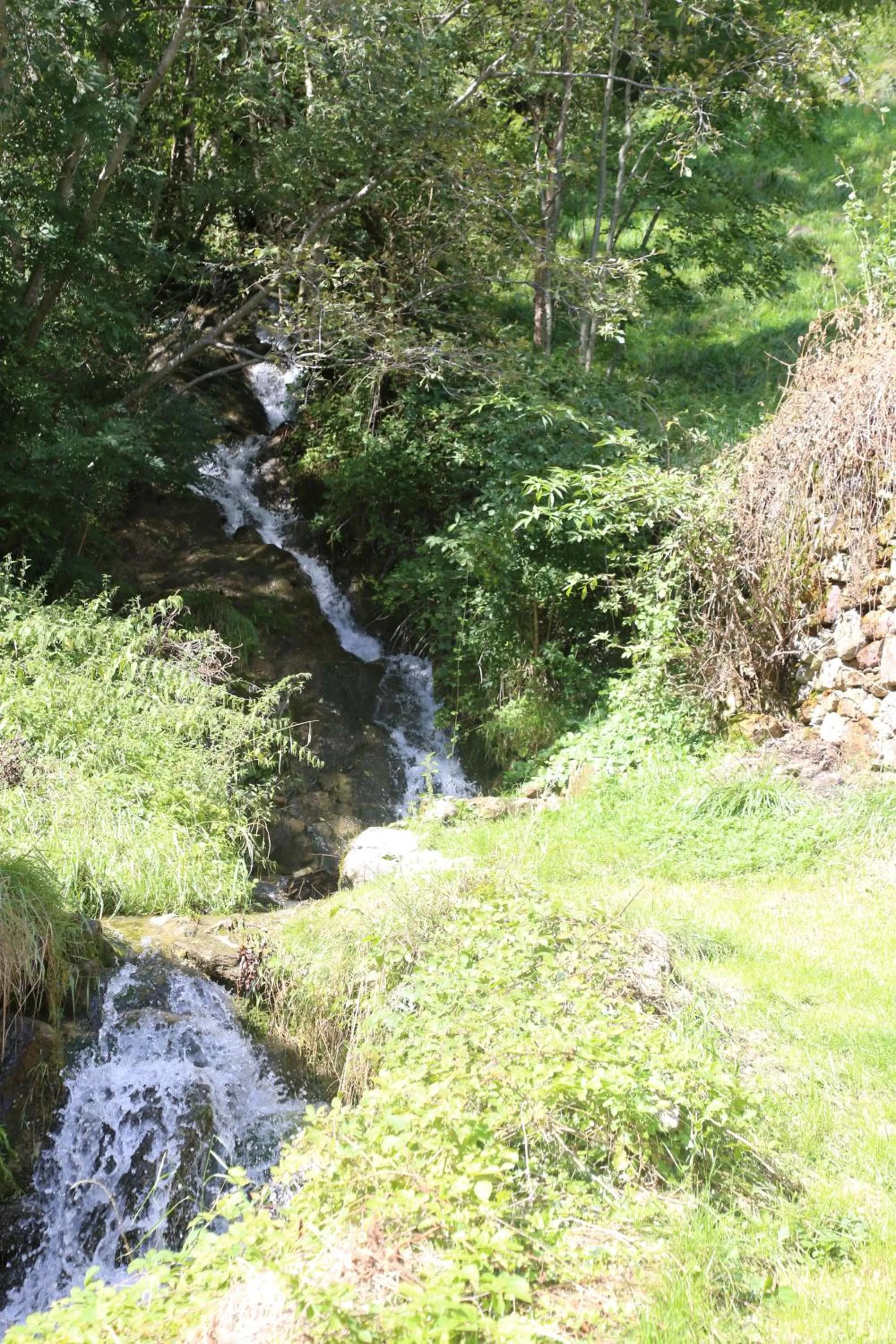 Garden view in B&B Rocca di Bajedo