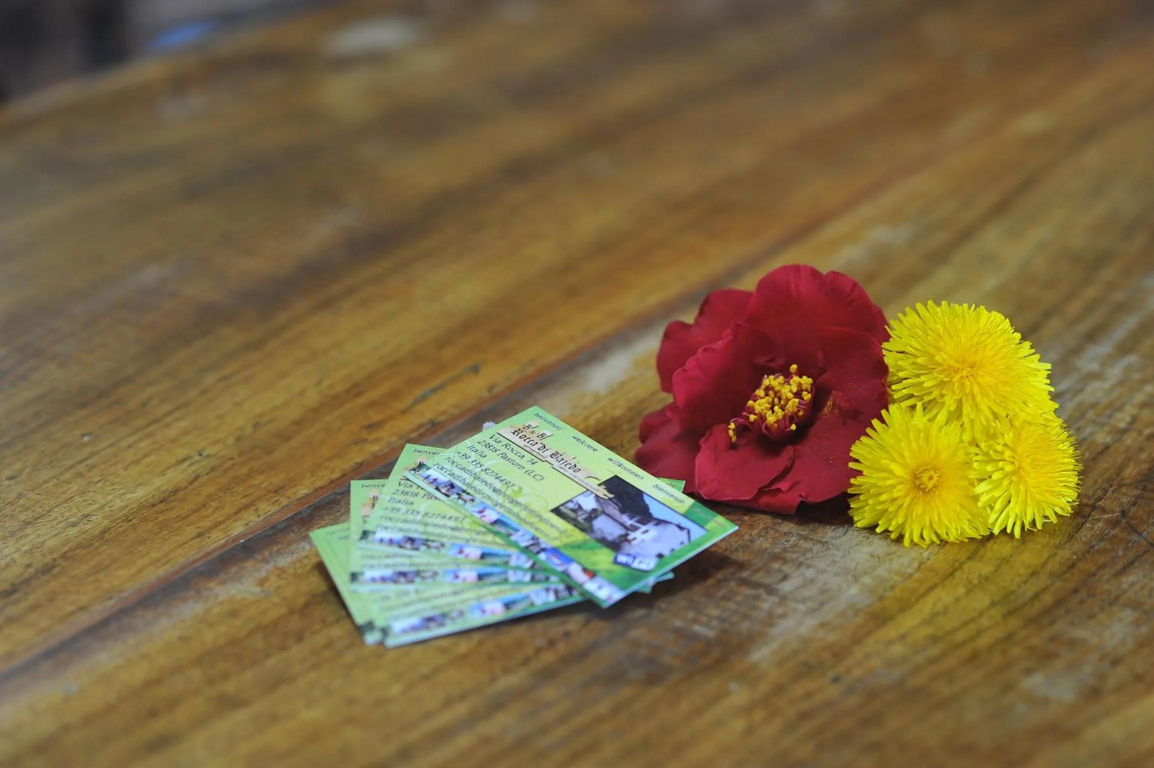 Decorative detail in B&B Rocca di Bajedo