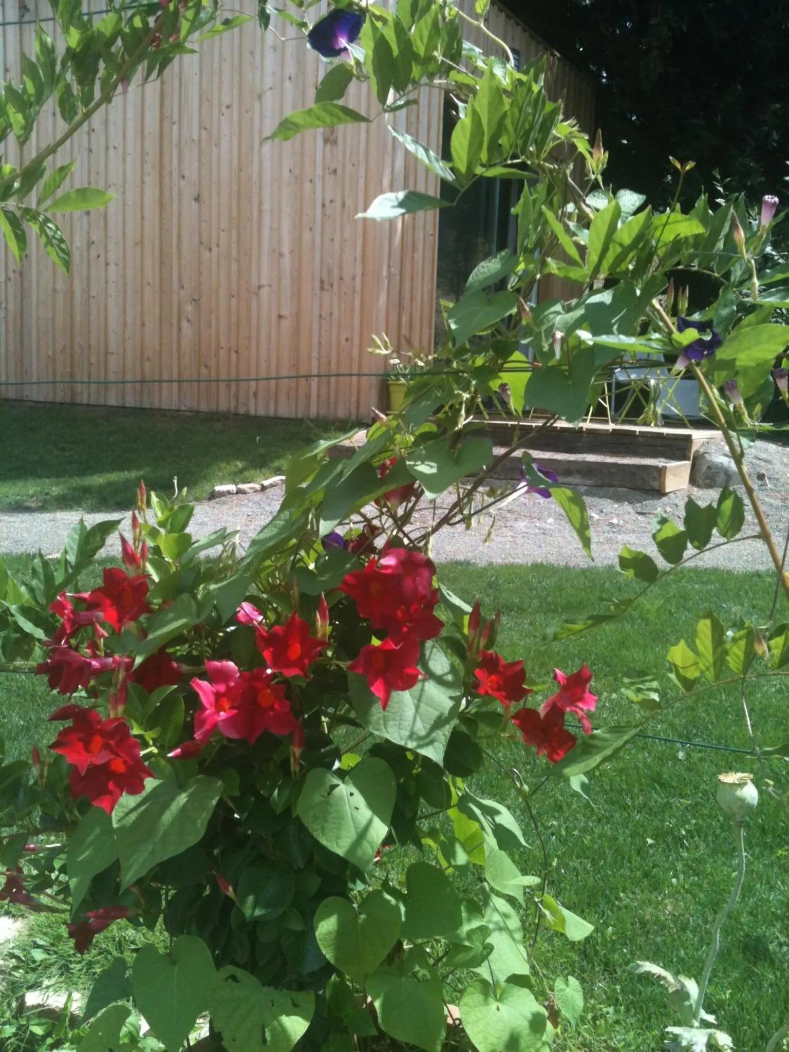 Patio in Les Cabanes de Do