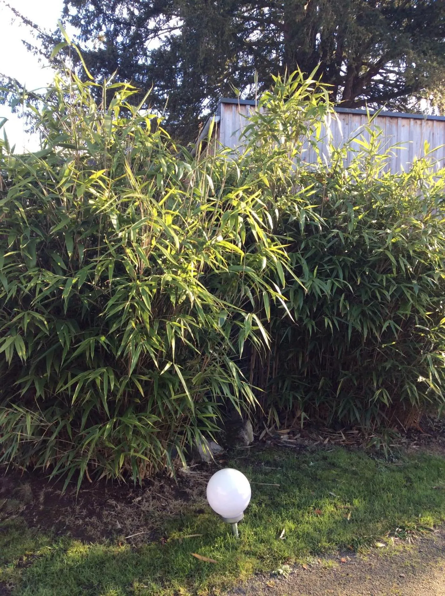 Garden in Les Cabanes de Do