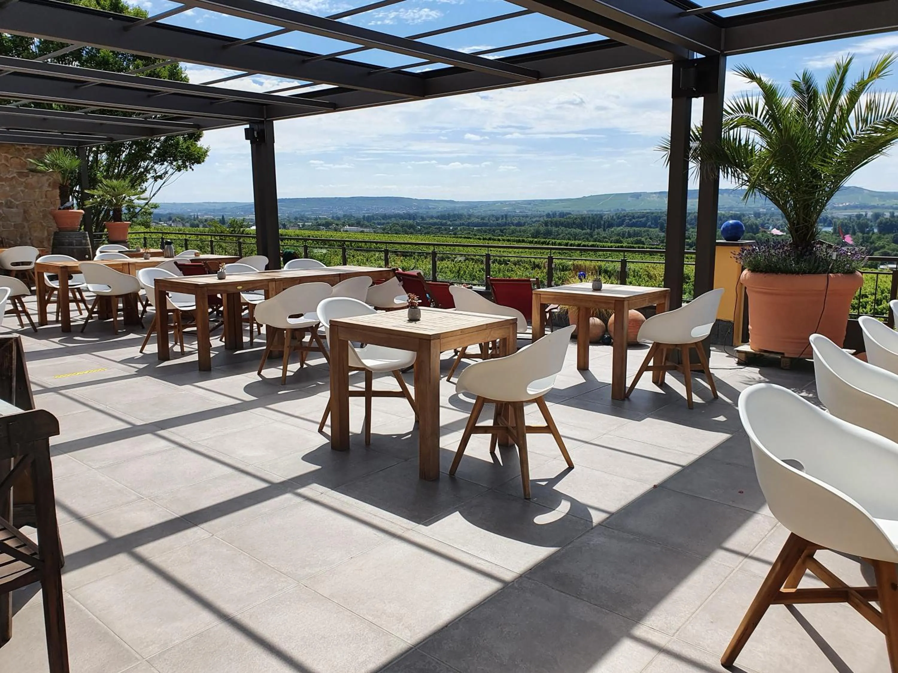 Restaurant/places to eat in Weingut Magdalenenhof