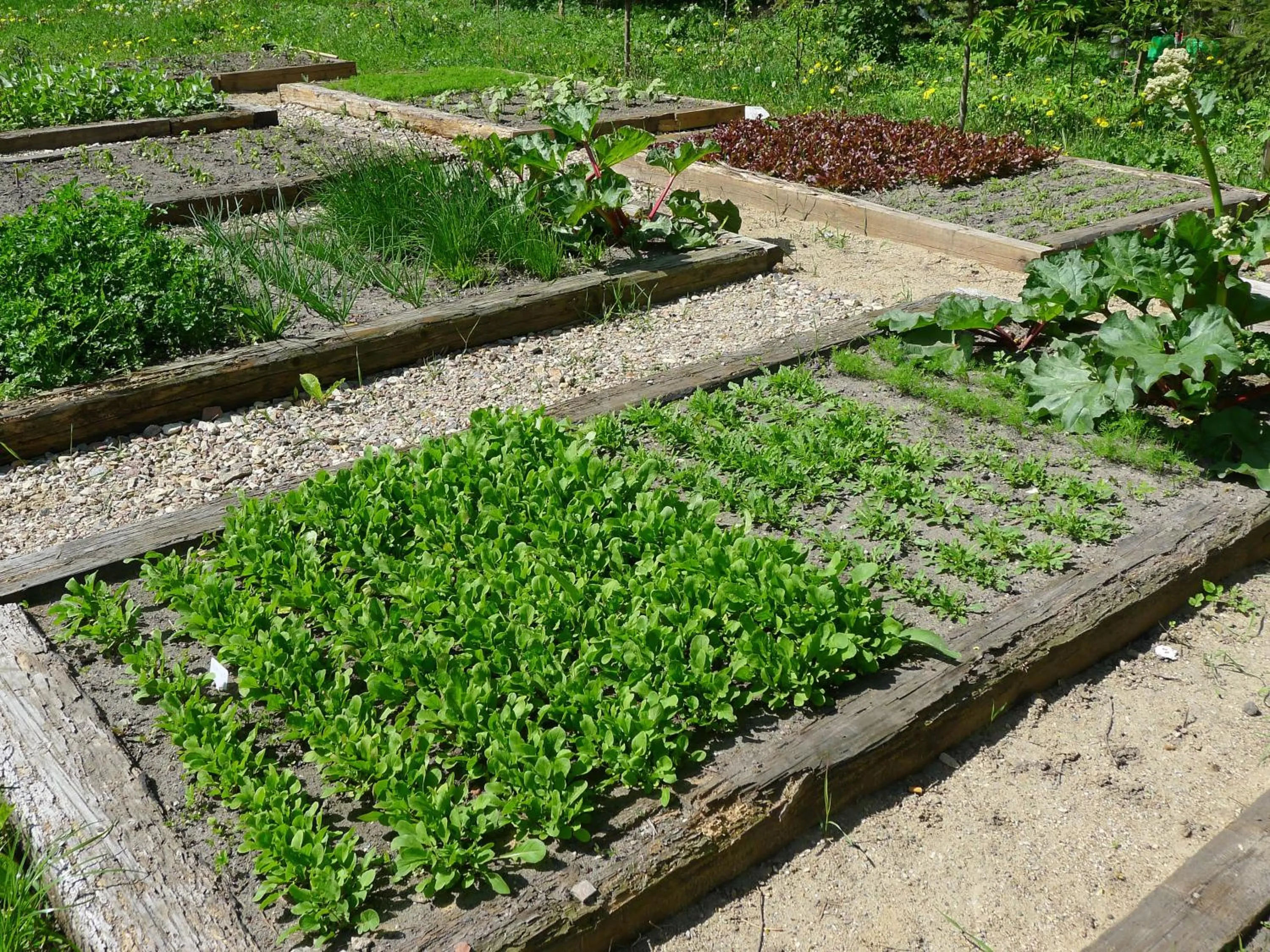 Garden view in Dom Młynarza
