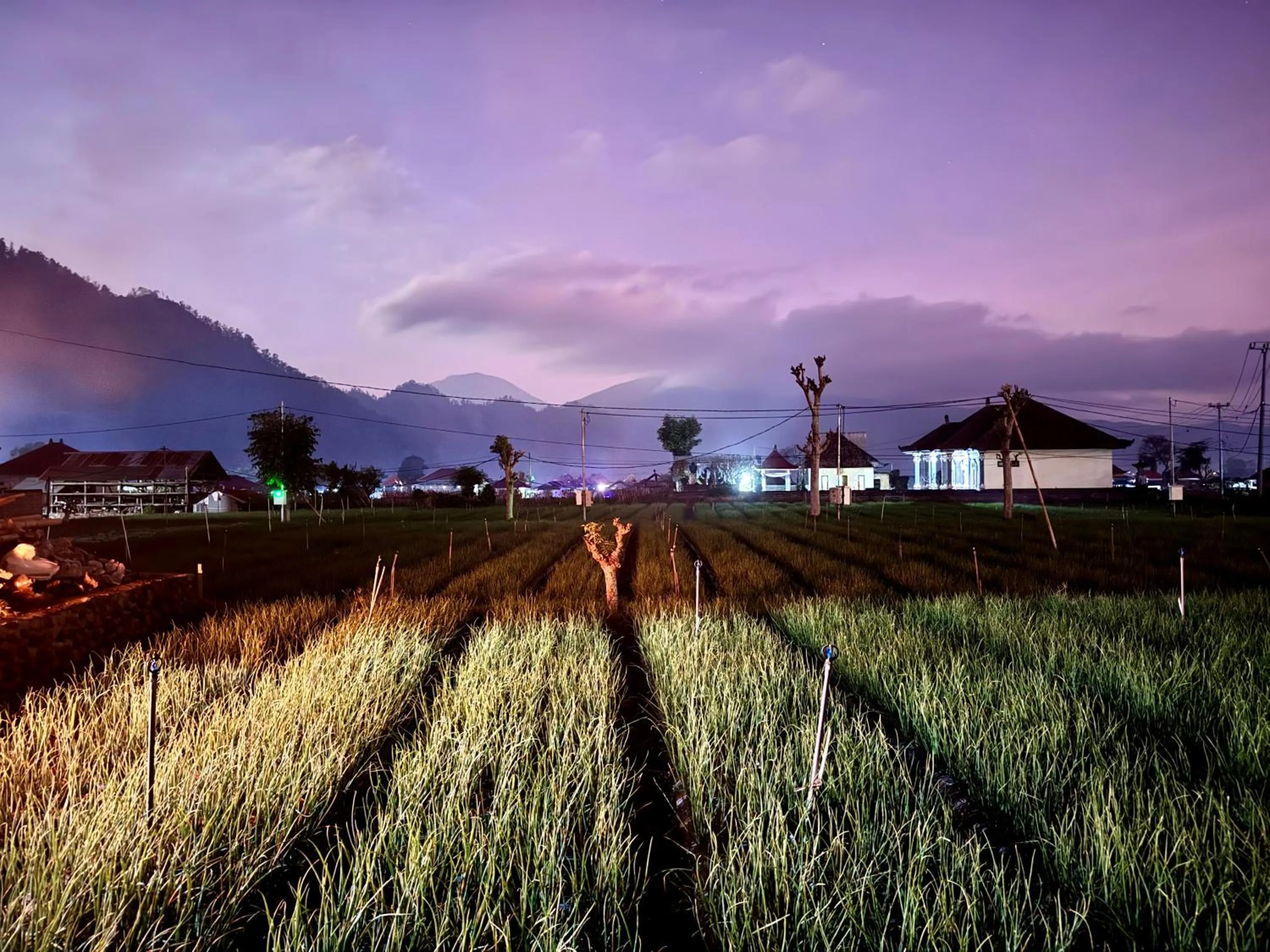 Natural landscape in Tamalia House