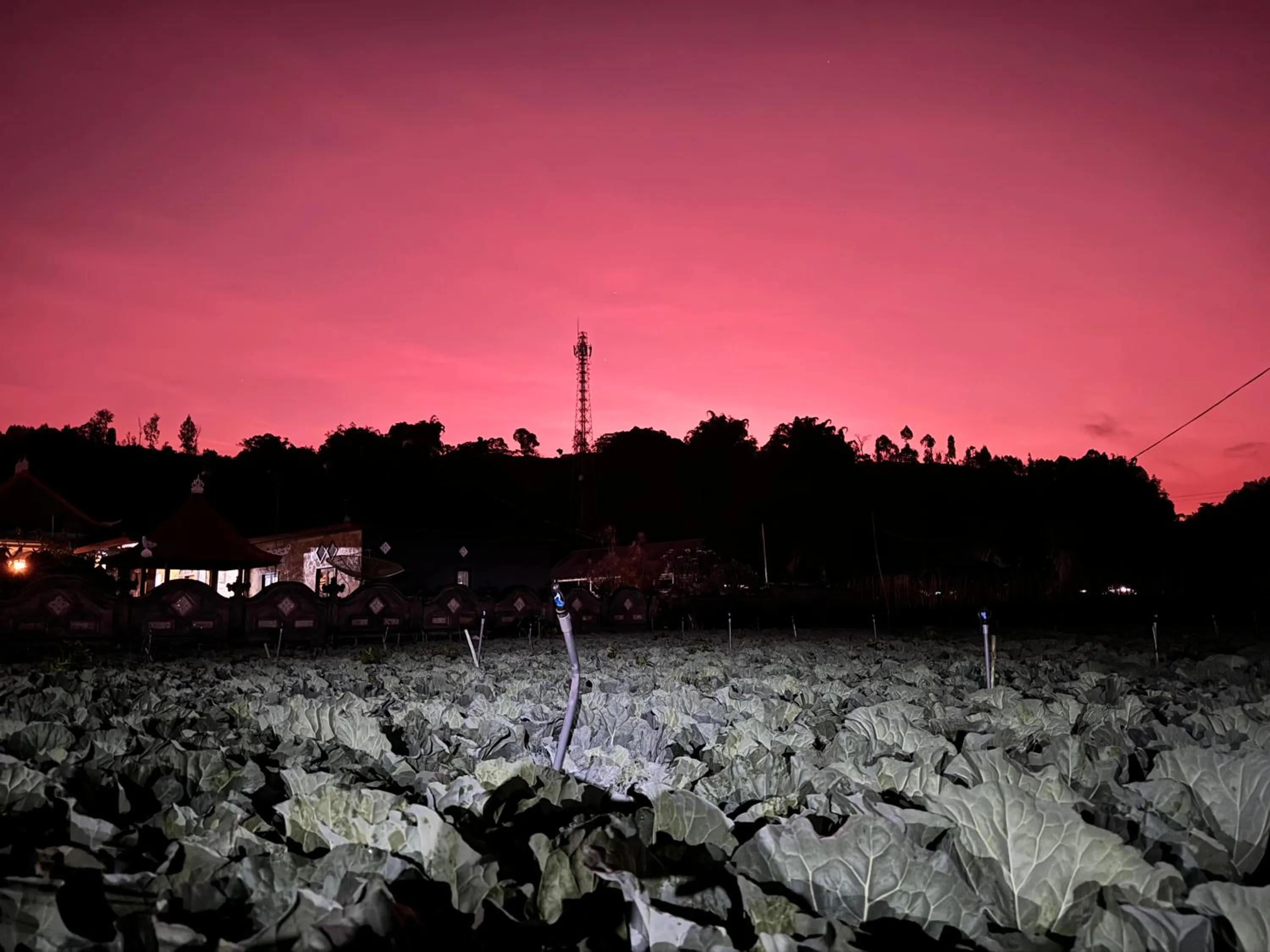 Natural landscape in Tamalia House