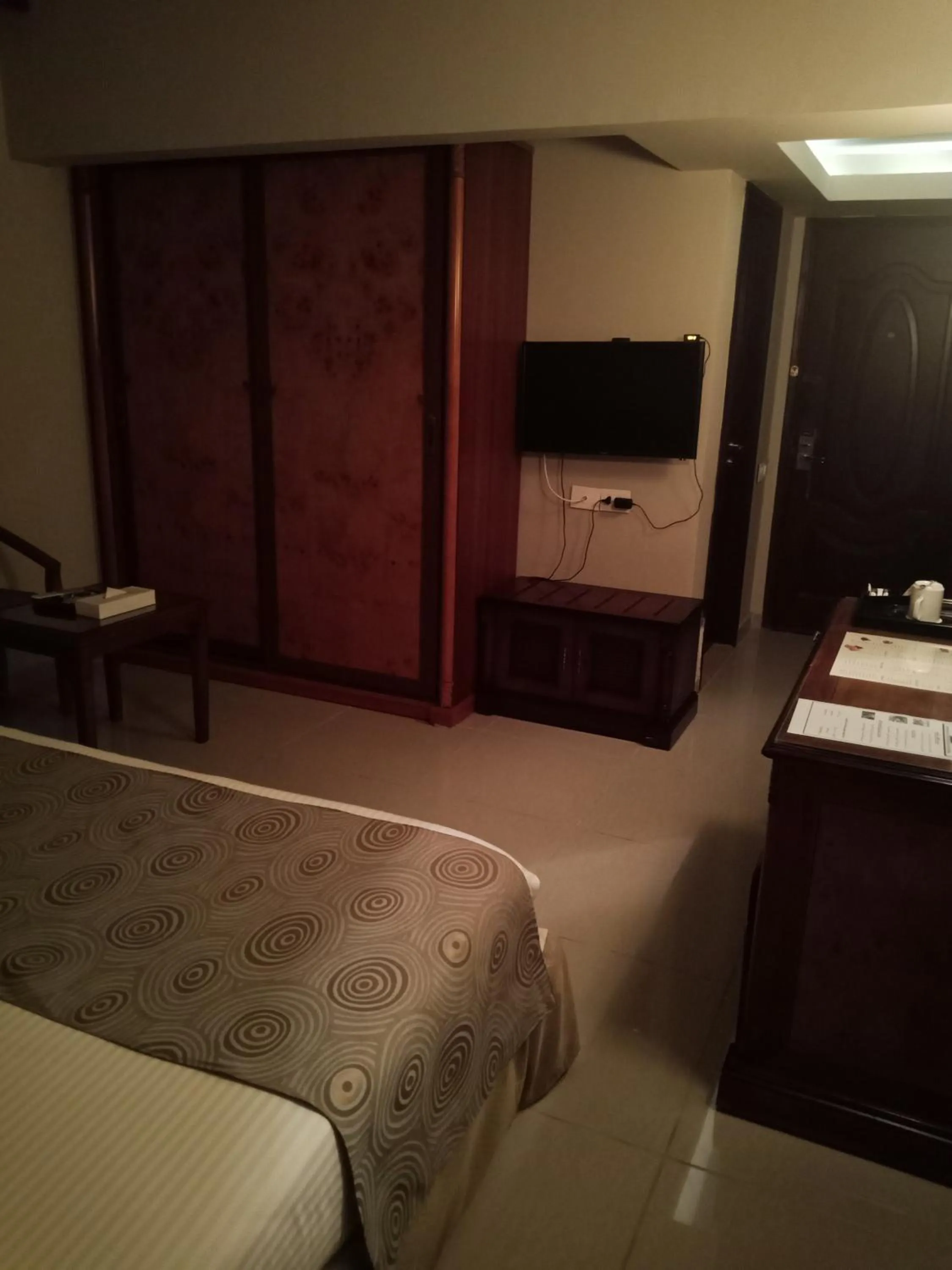 TV and multimedia in Green Leaves Hotel