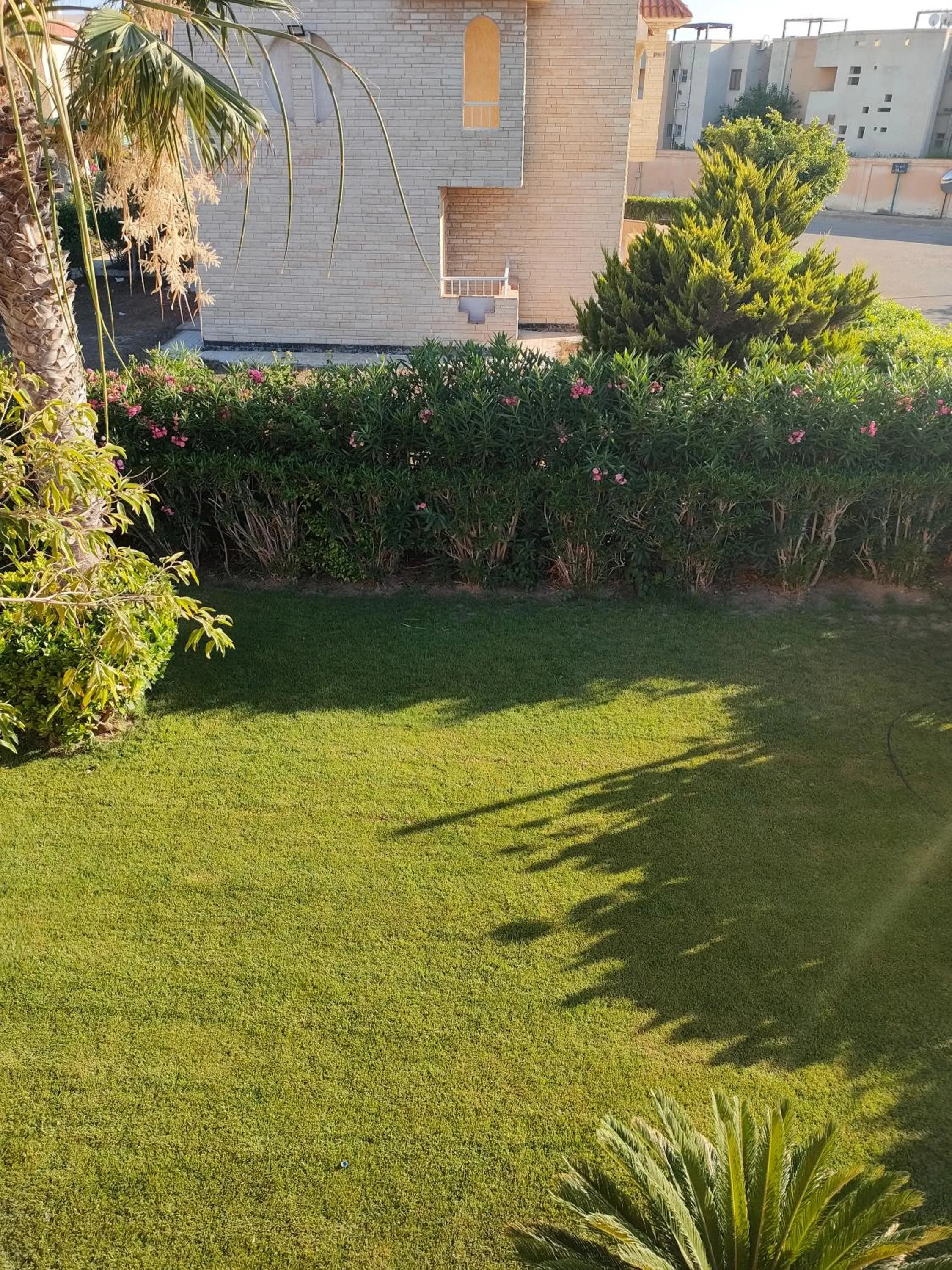 Property building in Green Leaves Hotel