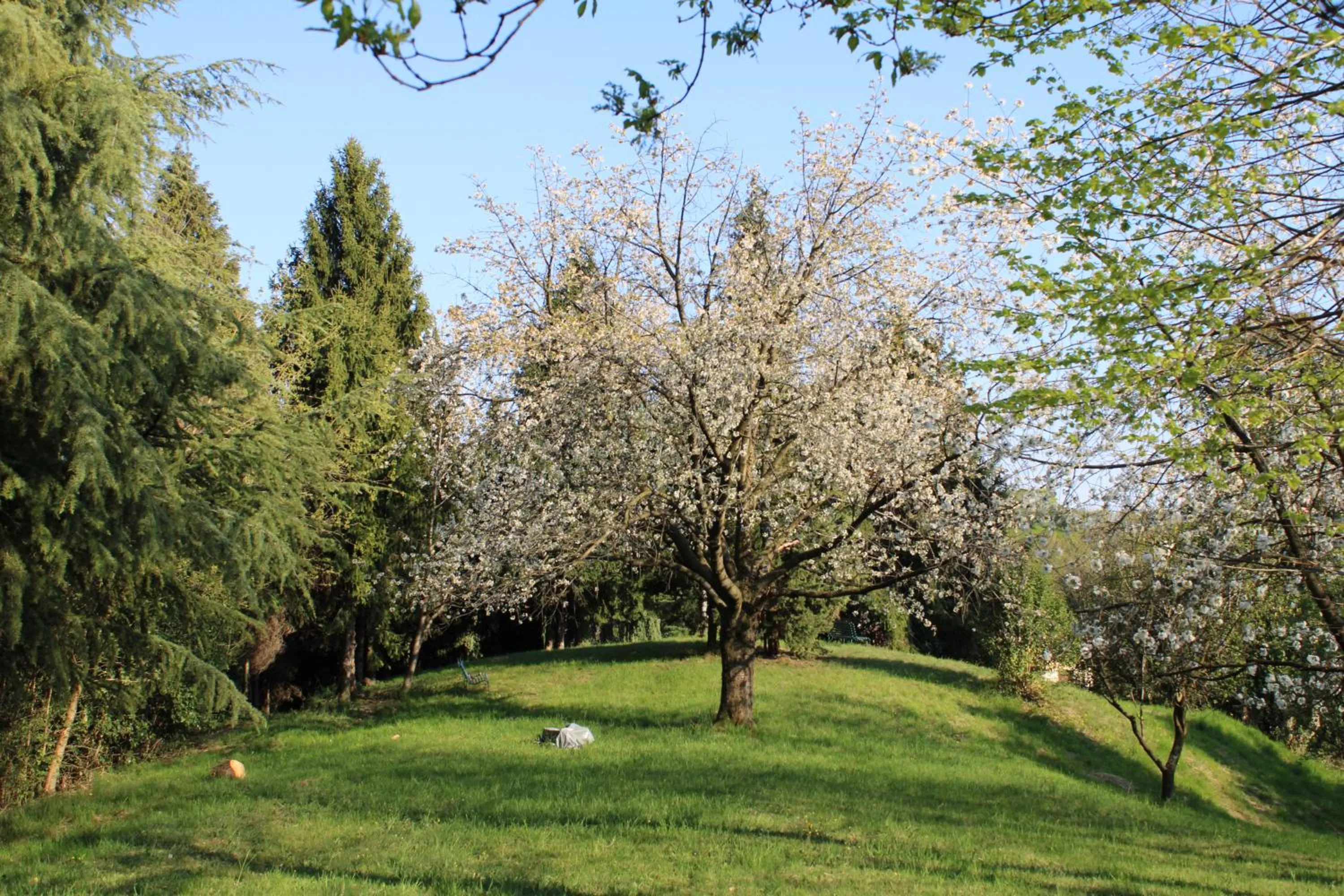 Garden in Villa Flangini
