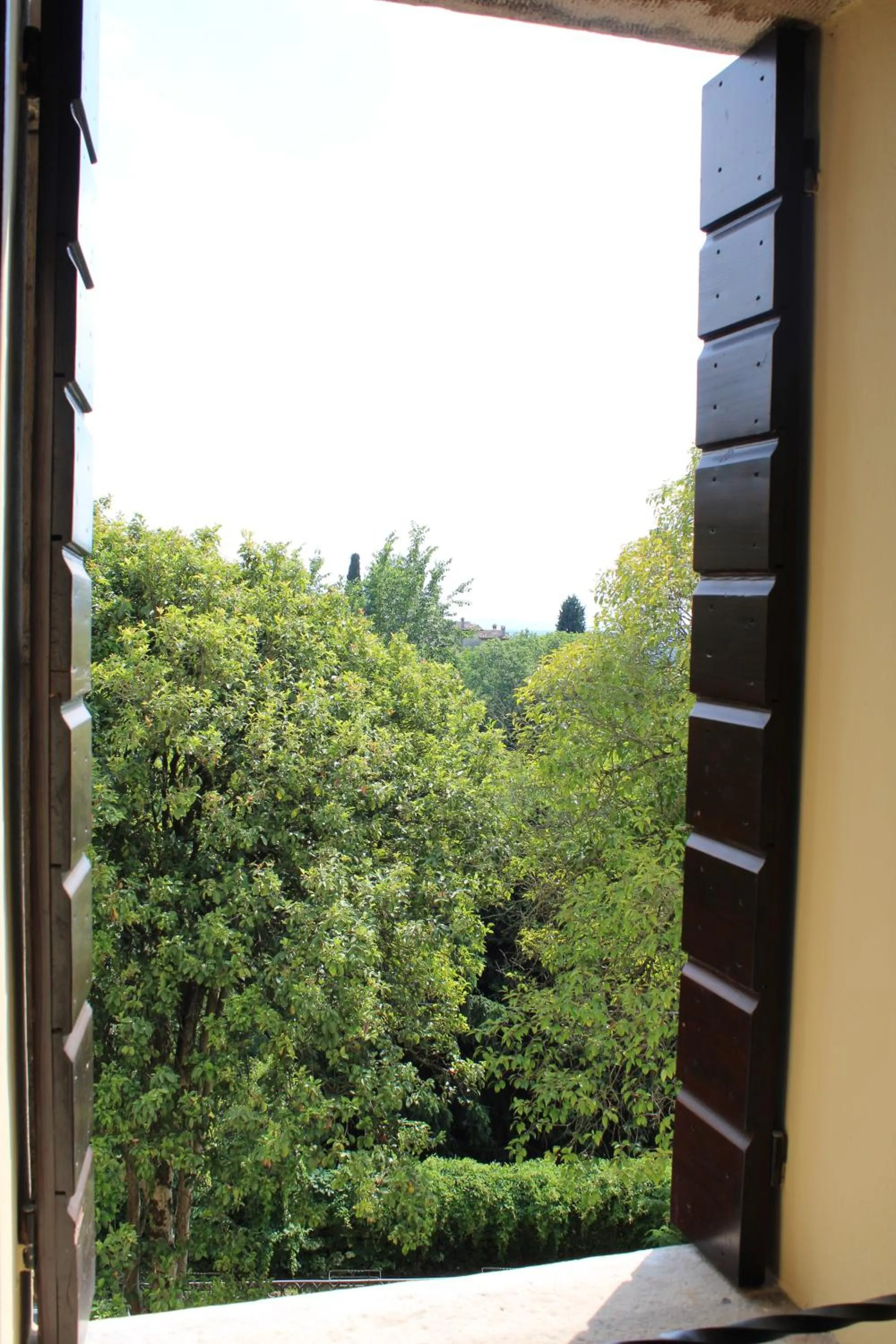 Garden view in Villa Flangini