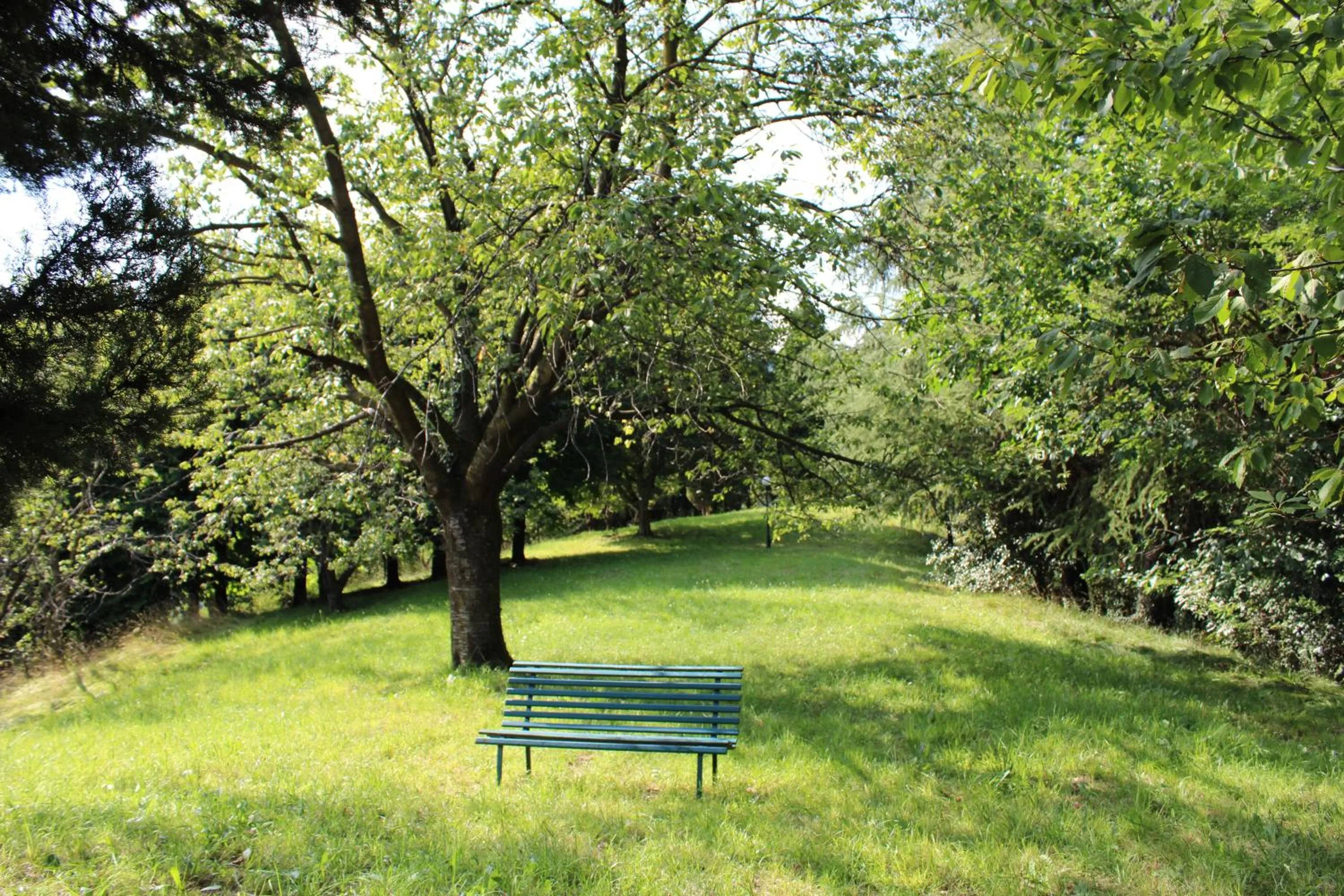 Garden in Villa Flangini